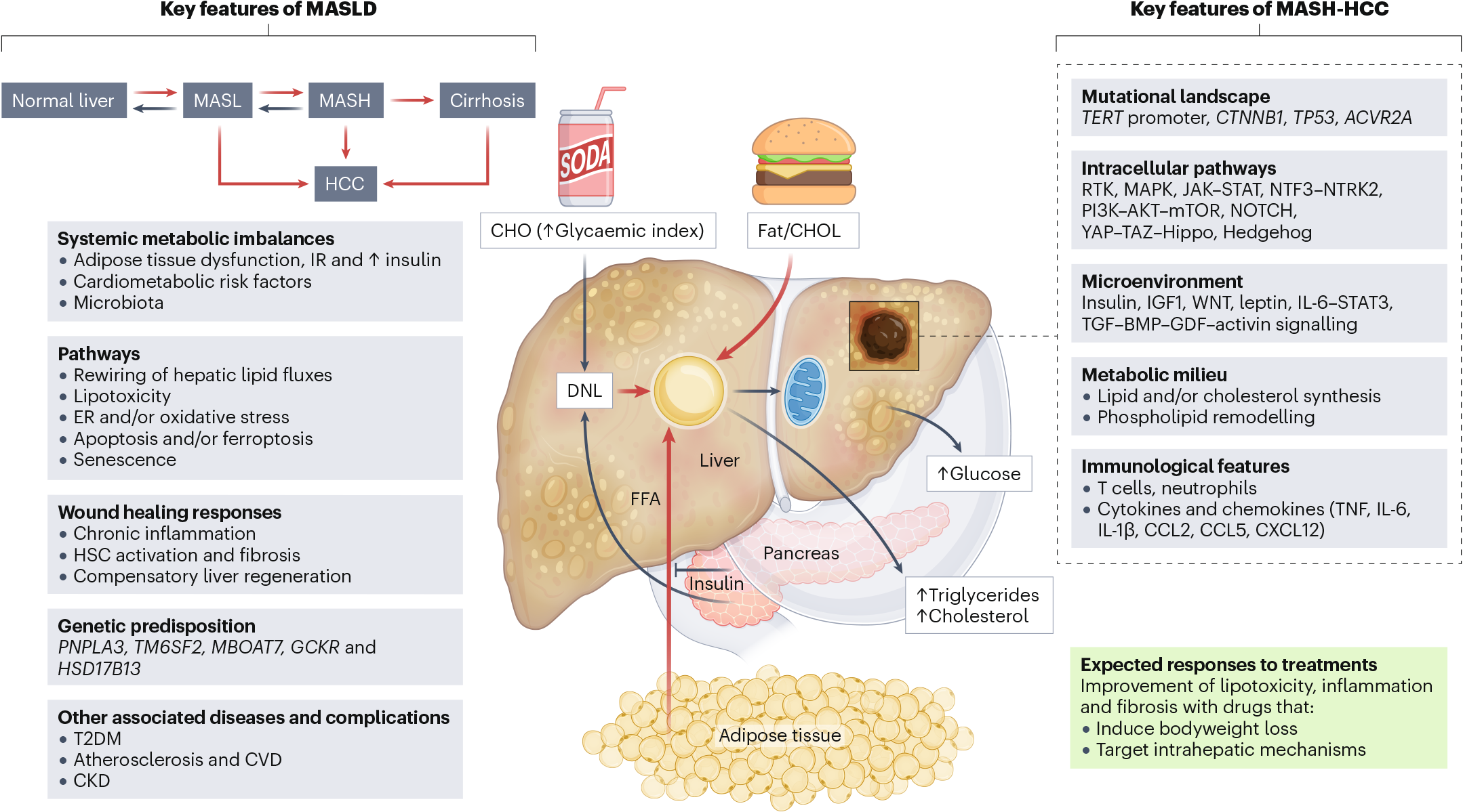 does semaglutide wear off by the end of the week TrimRX