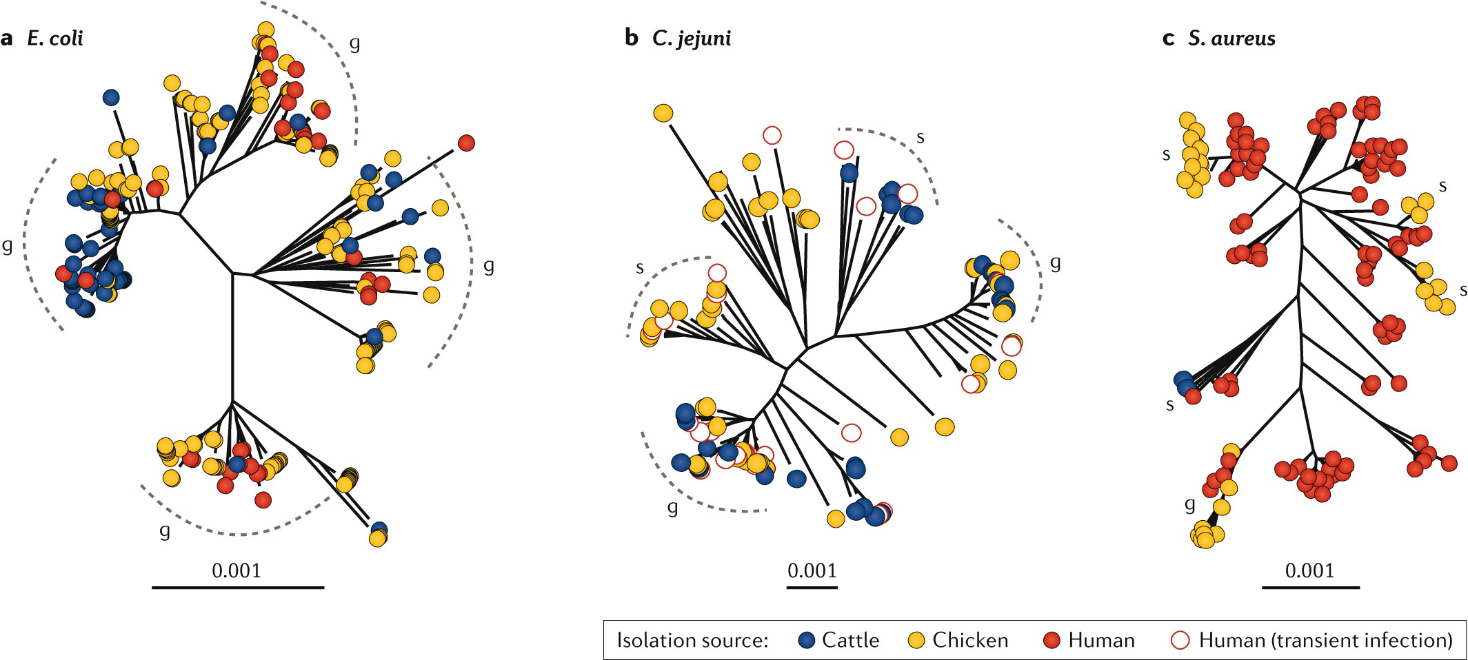 Population Genomics Of Bacterial Host Adaptation Nature Reviews Genetics