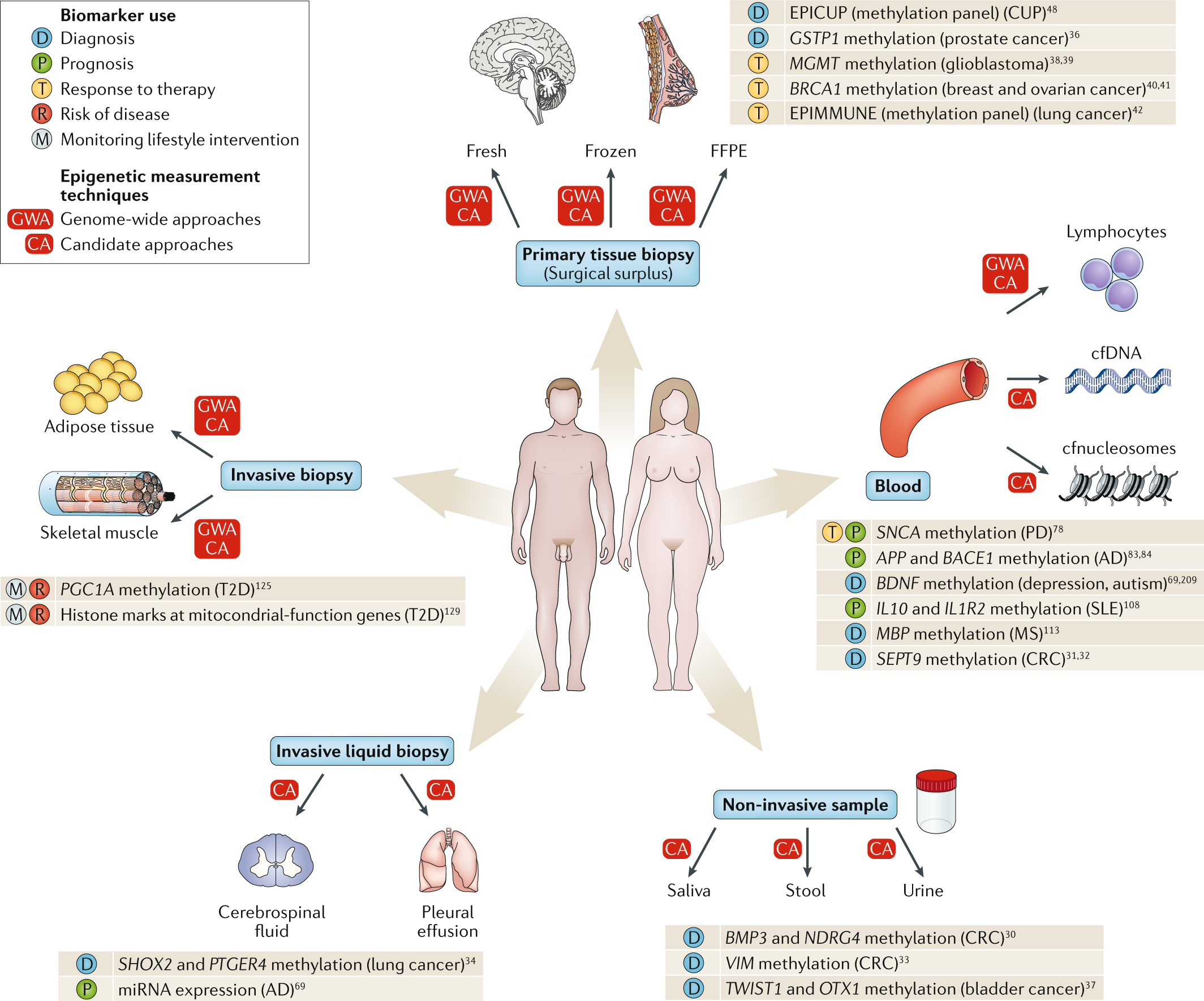 Clinical Epigenetics Seizing Opportunities For Translation - 