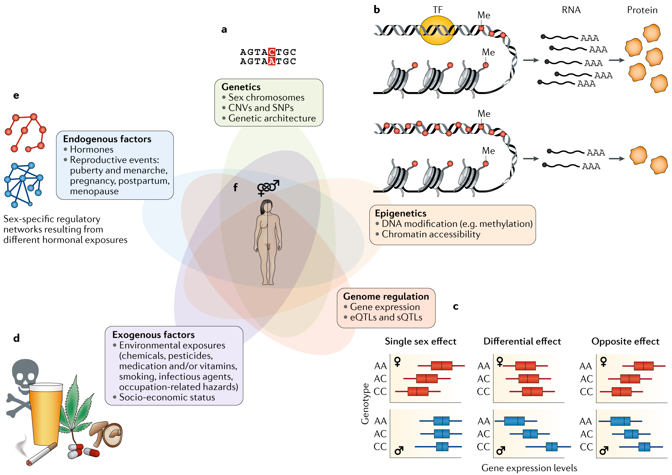 Expression levels. Induction in noisy domains. Expression levels. Expression levels. Snps генетика.
