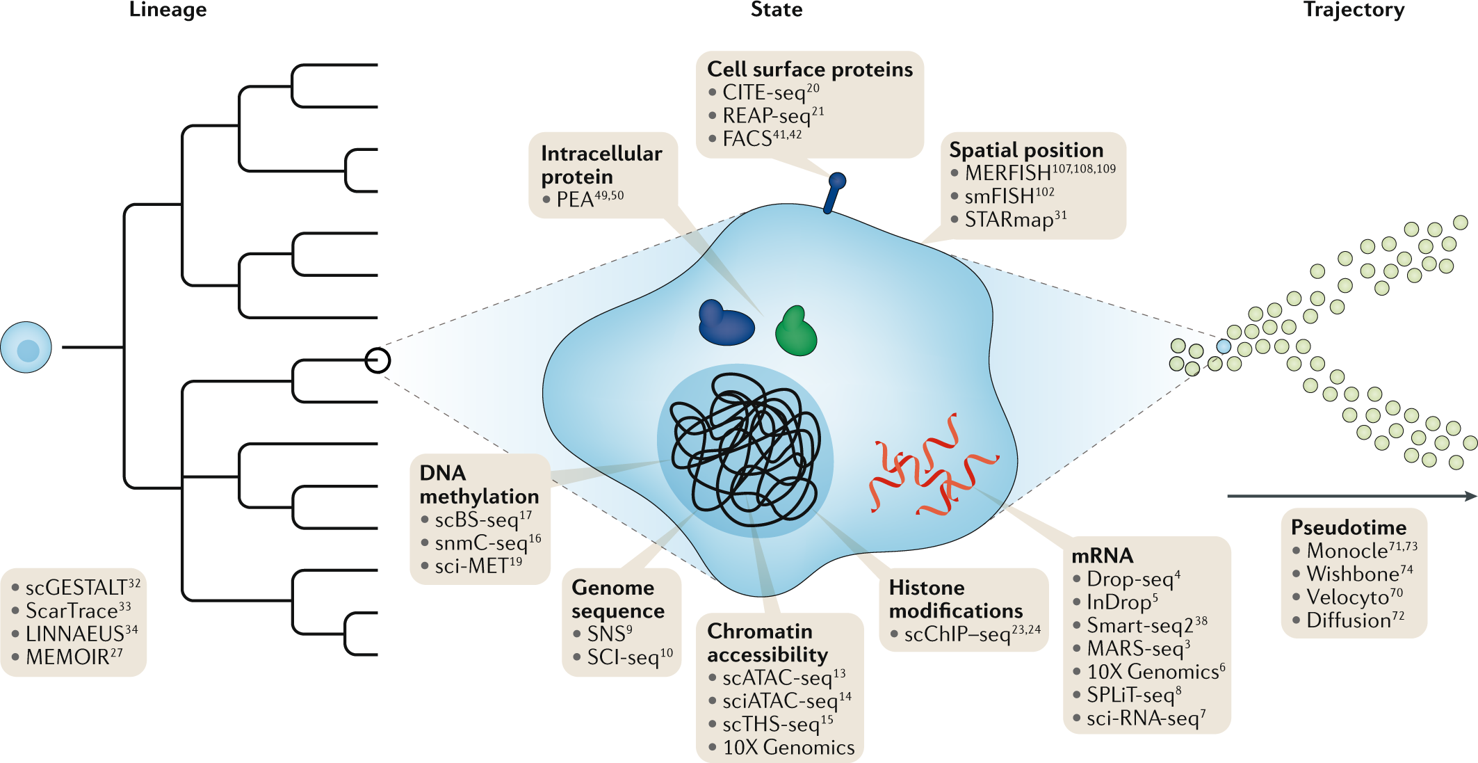 Integrative single-cell analysis | Nature Reviews Genetics