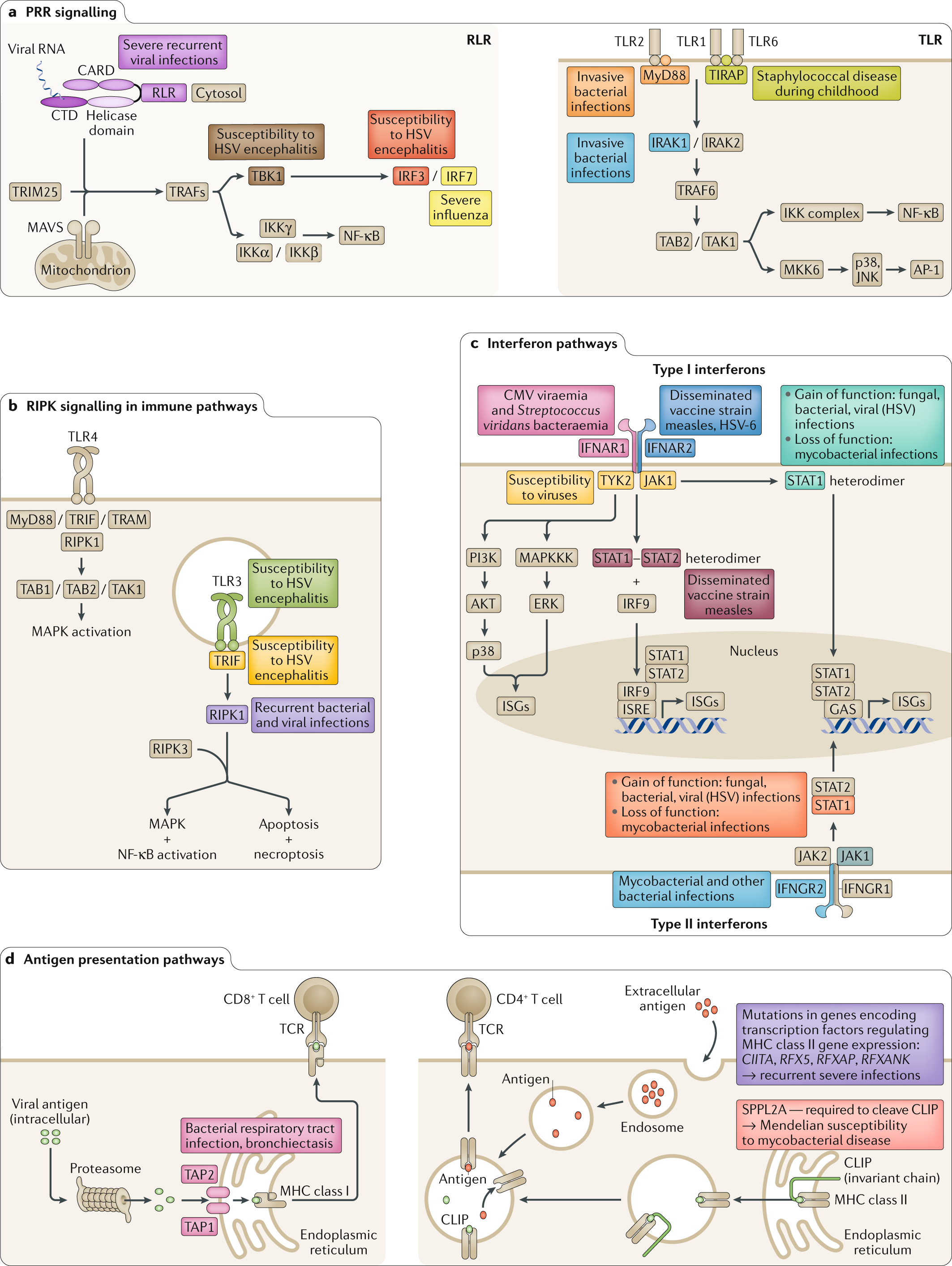 Host genetics and infectious disease: new tools, insights and translational  opportunities | Nature Reviews Genetics