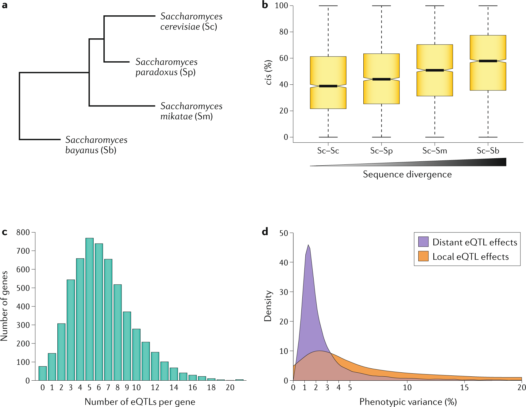 The impact of local genomic properties on the evolutionary fate of genes
