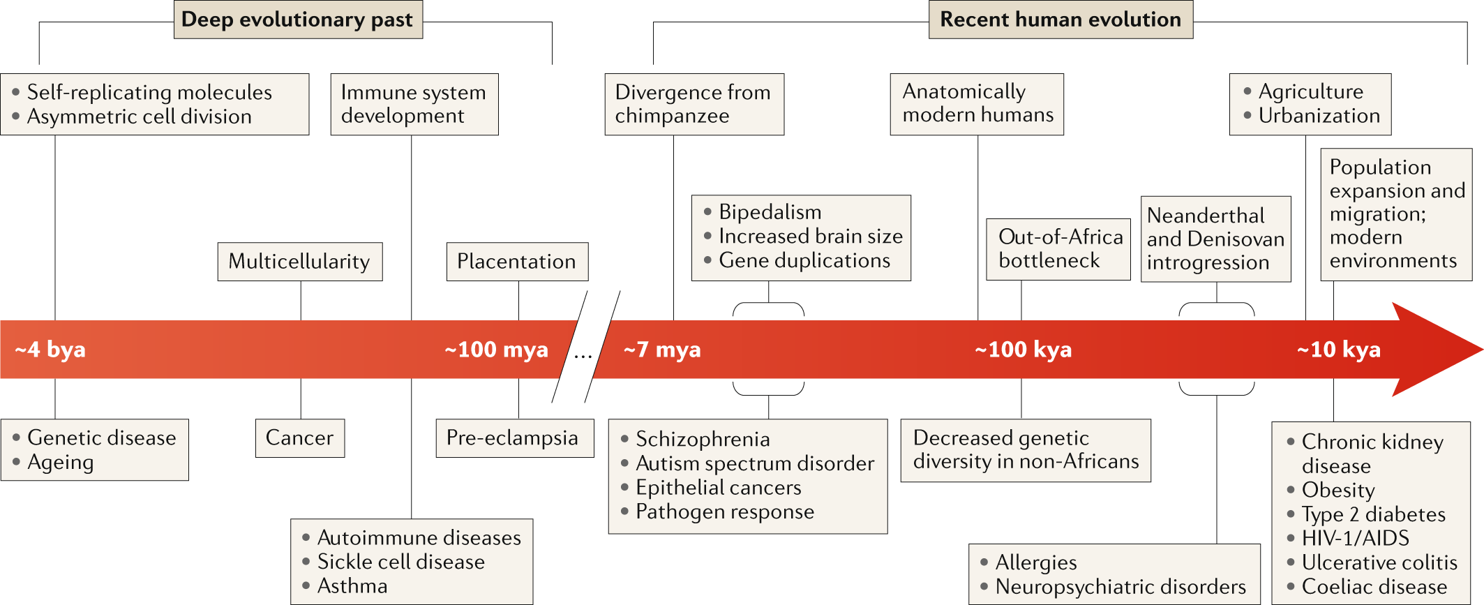 View of Management of genetic diseases: Present and future