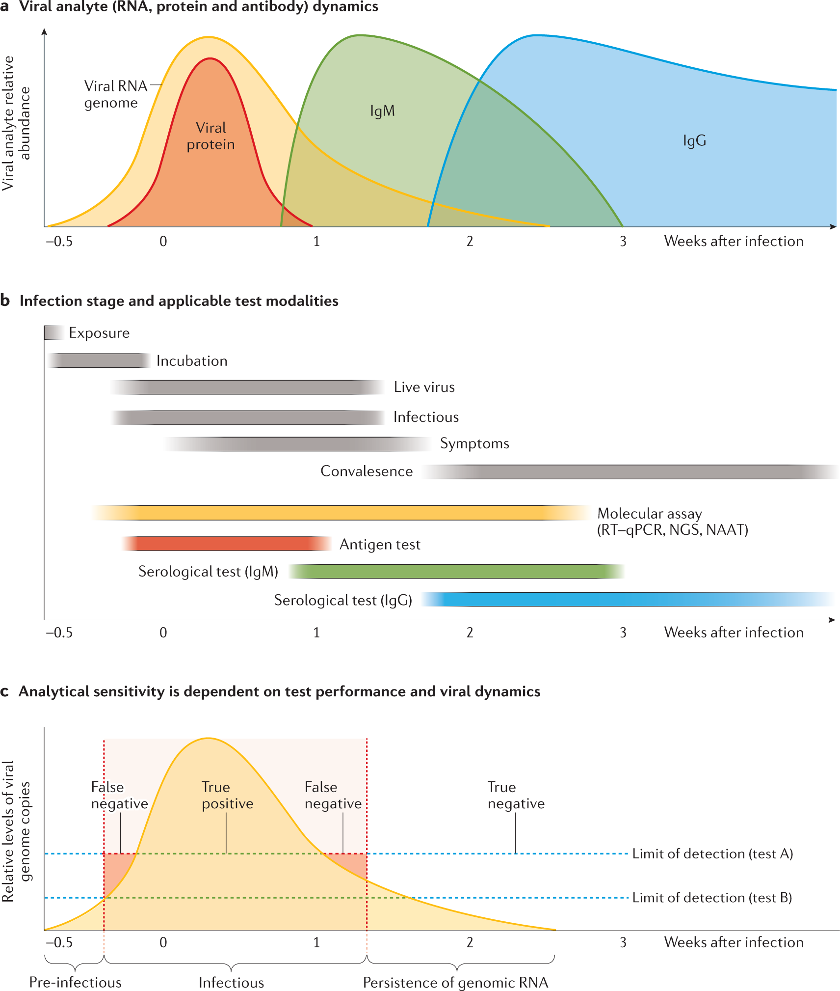 Testing At Scale During The Covid-19 Pandemic | Nature Reviews Genetics