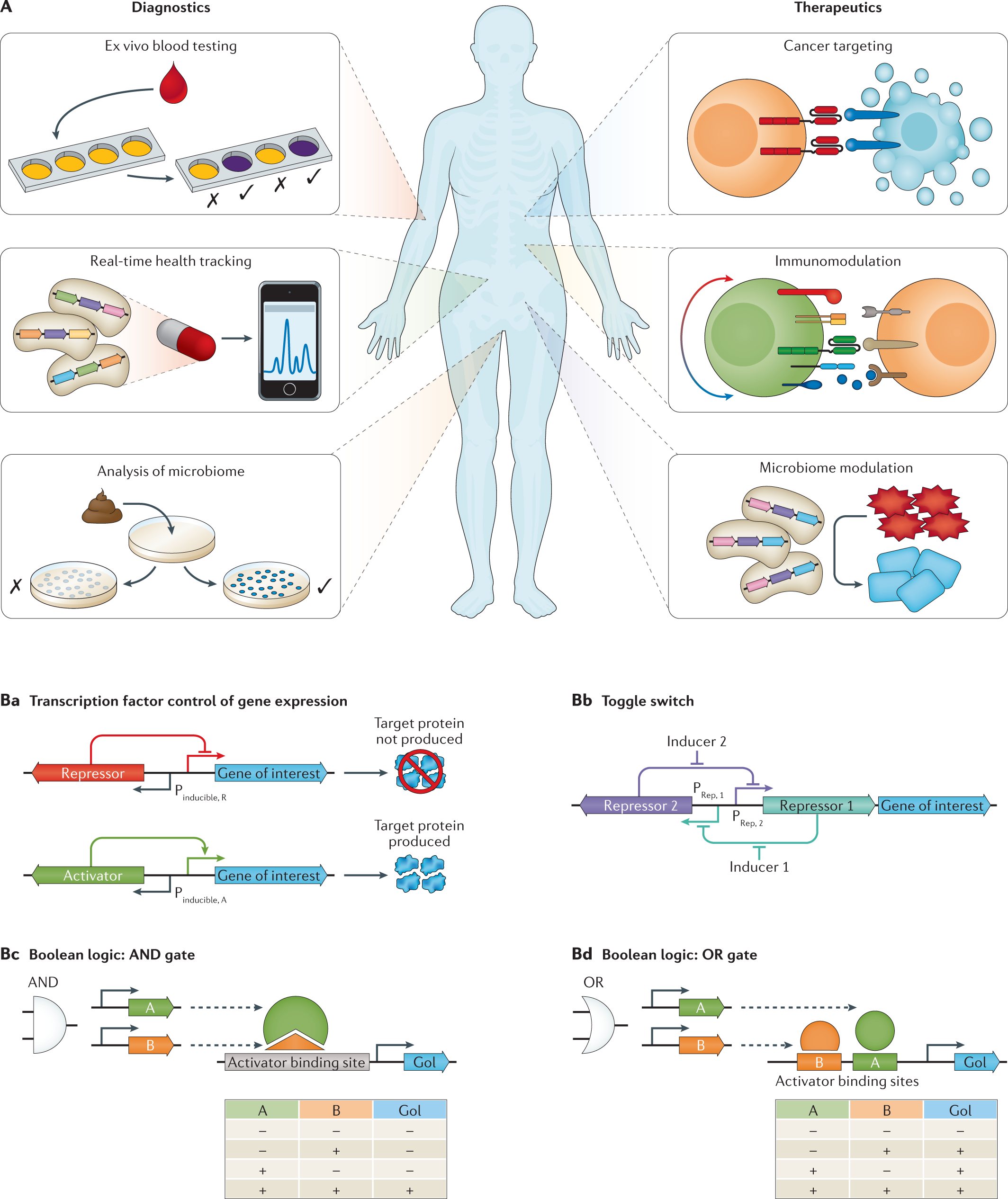 Theranostic cells: emerging clinical of synthetic | Nature Reviews Genetics