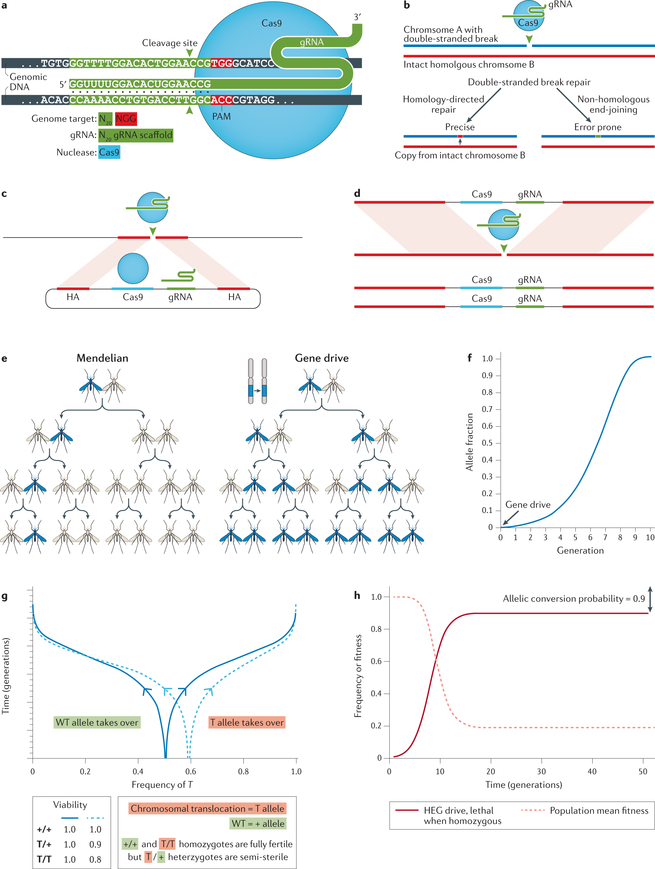 Gene drives gaining speed | Nature Reviews Genetics