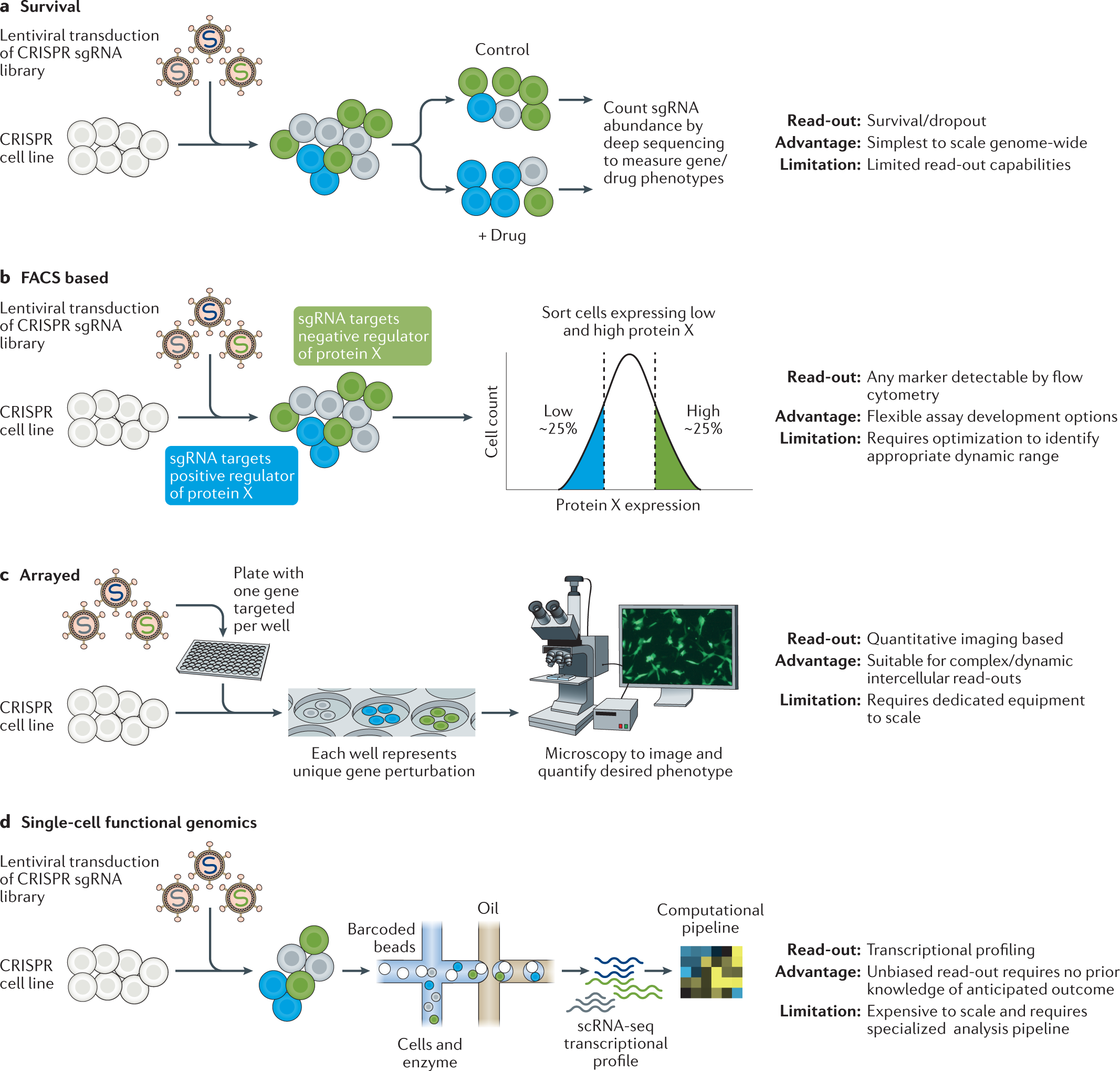 A new era in functional genomics screens | Nature Reviews Genetics