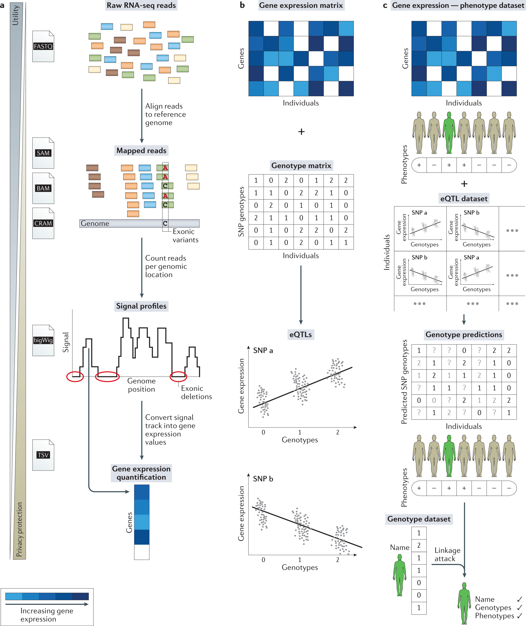 Functional genomics data: privacy risk assessment and technological  mitigation | Nature Reviews Genetics