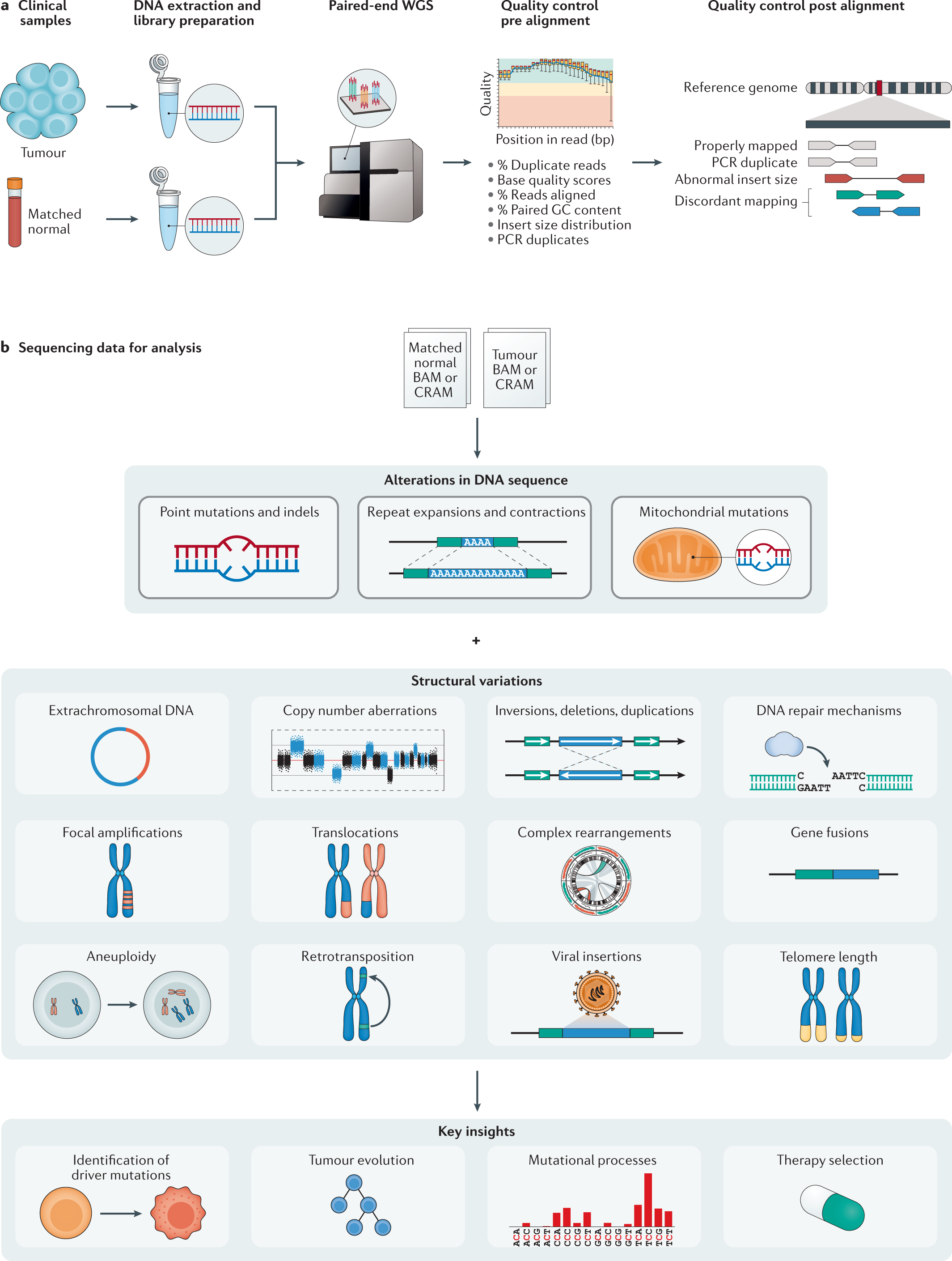 DREAMS: deep read-level error model for sequencing data applied to