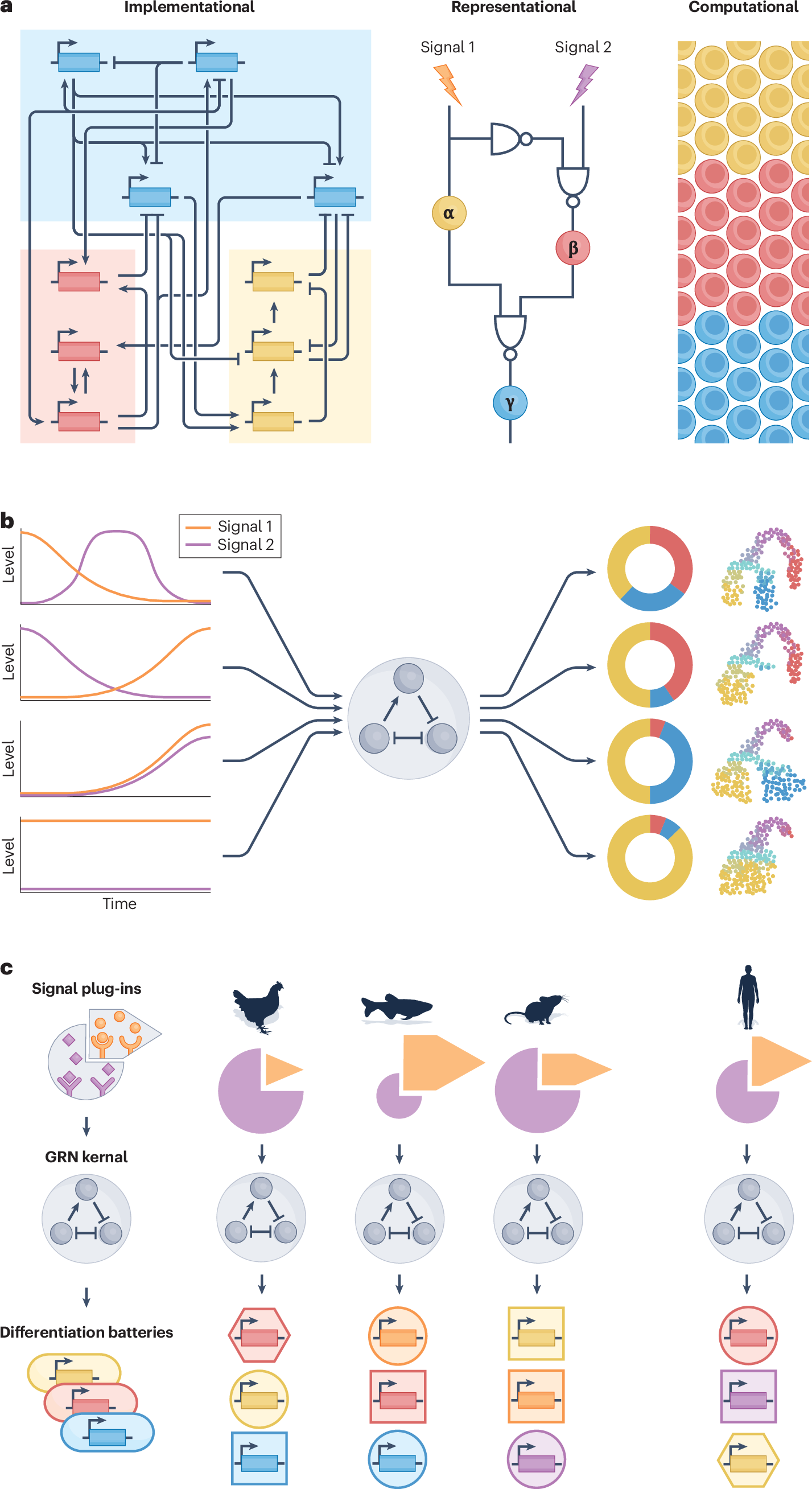 Fig. 3: Representational descriptions of GRNs.