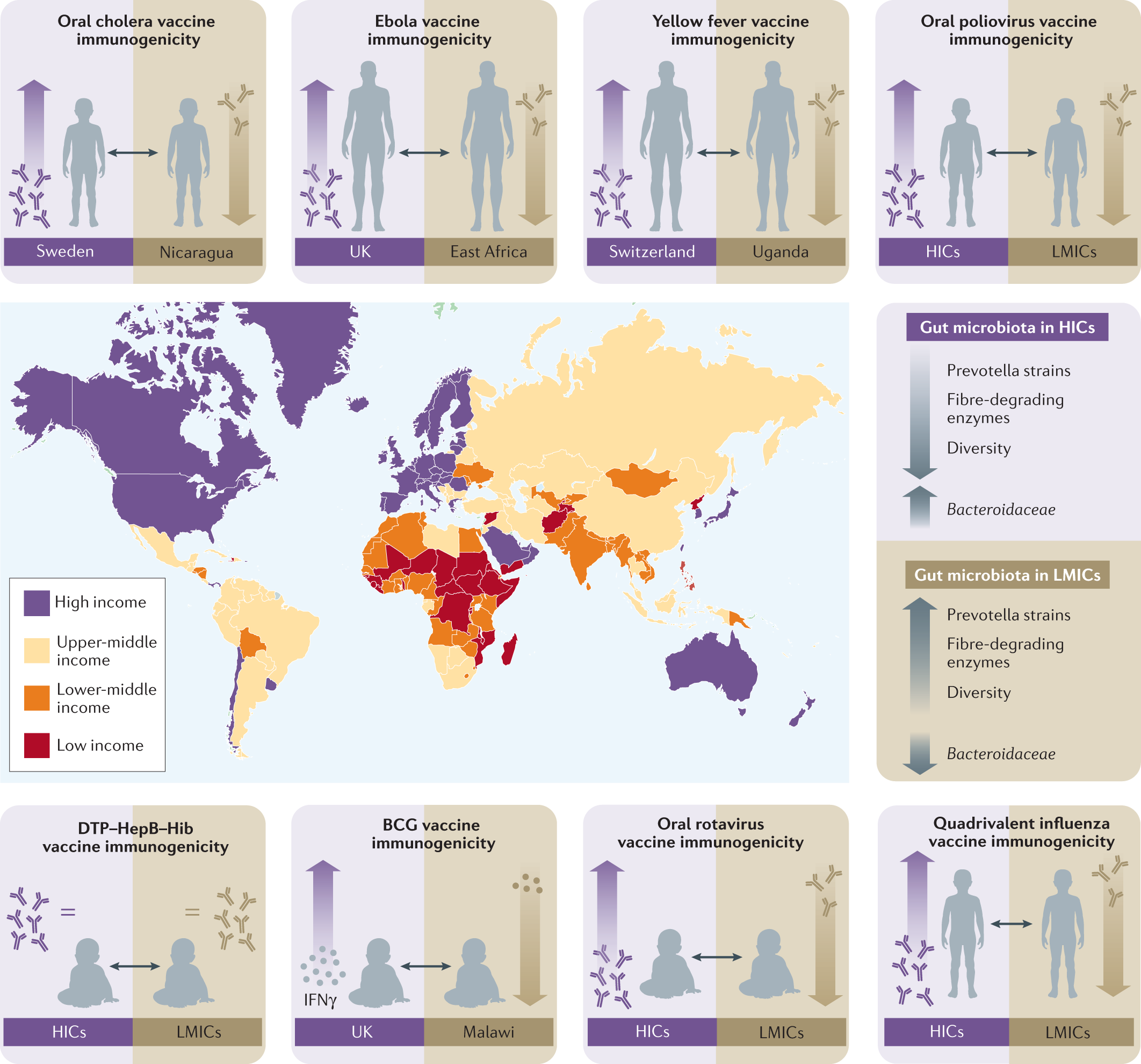 PDF) A web-based Child vaccination system in Bangladesh