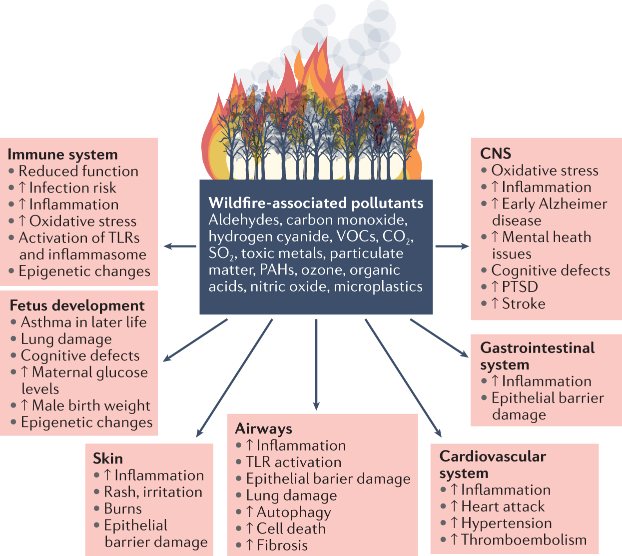 Human and planetary health on fire