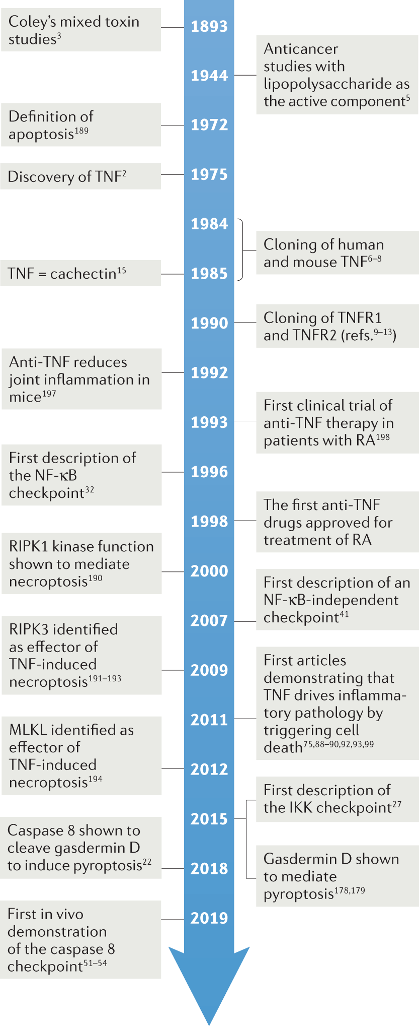 Death by TNF: a road to inflammation | Nature Reviews Immunology