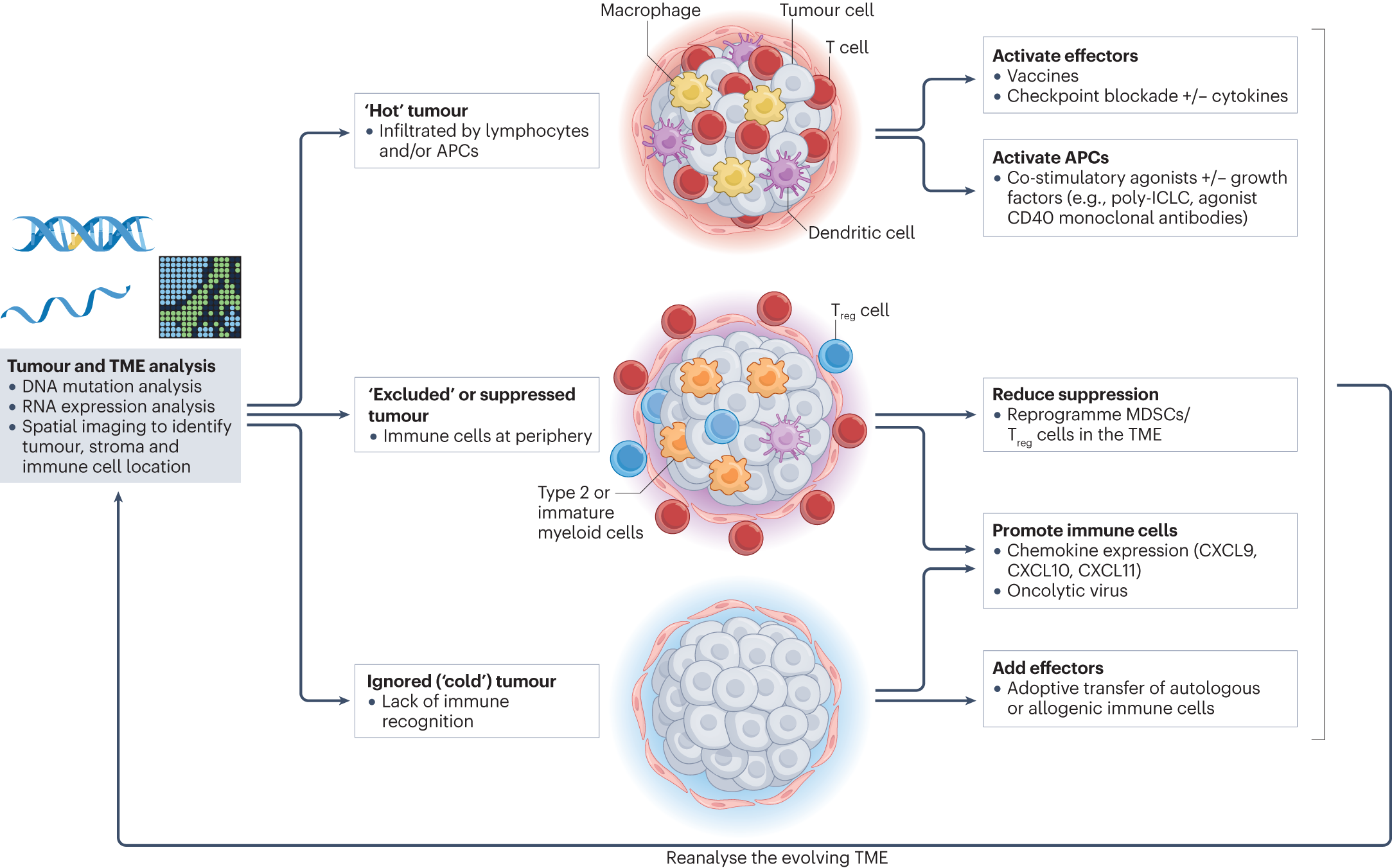 Synergy of Analytical Approaches Enables a Robust Assessment of