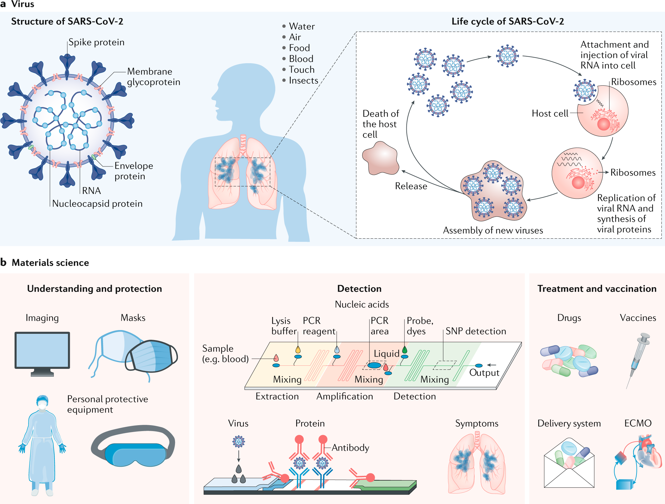 A materials-science perspective on tackling COVID-19 | Nature Reviews  Materials