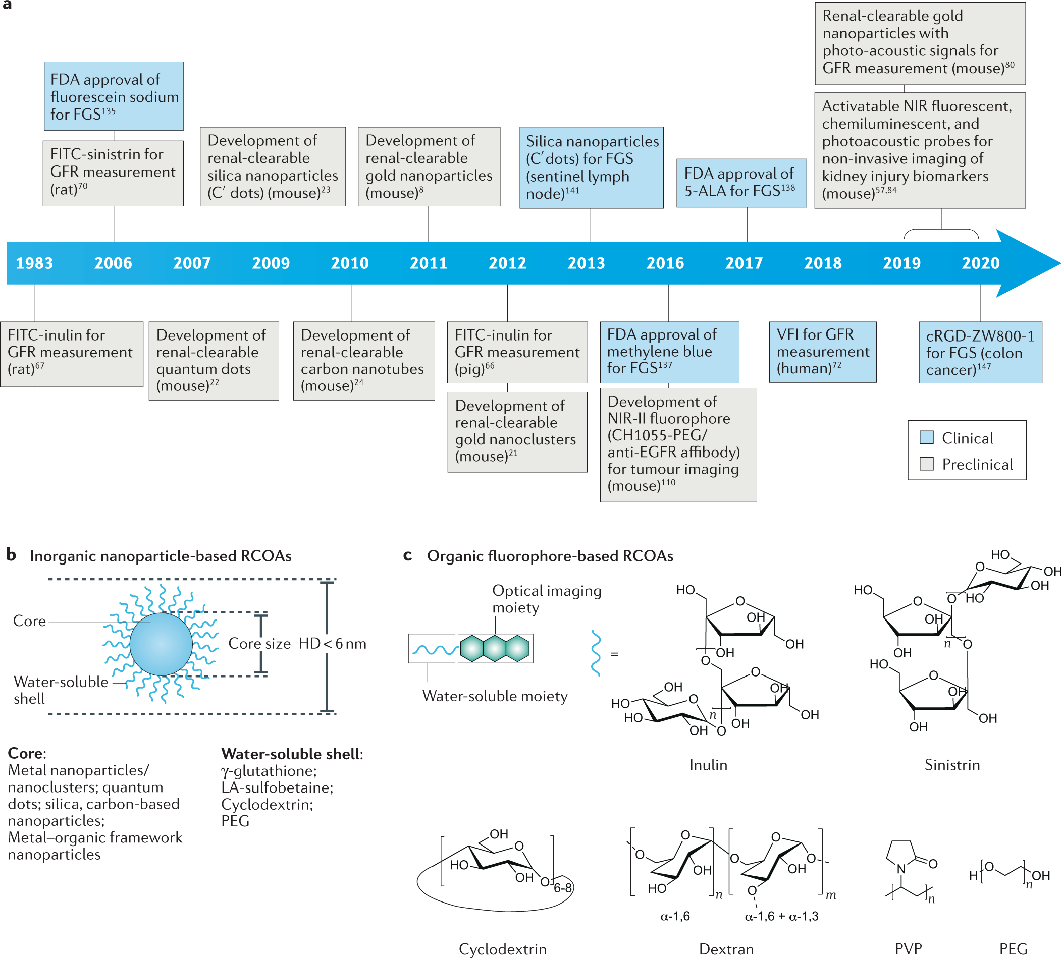 Molecular Imaging And Disease Theranostics With Renal Clearable Optical Agents Nature Reviews Materials