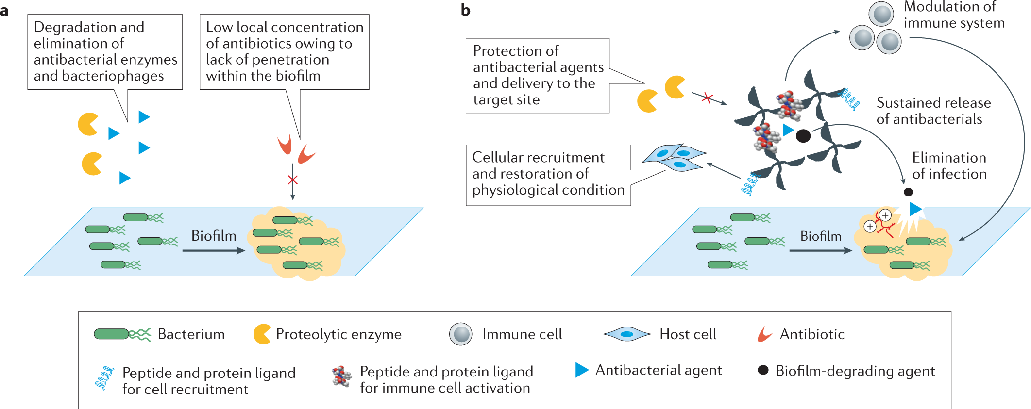 Biomaterial-based antimicrobial therapies for the treatment of bacterial  infections | Nature Reviews Materials