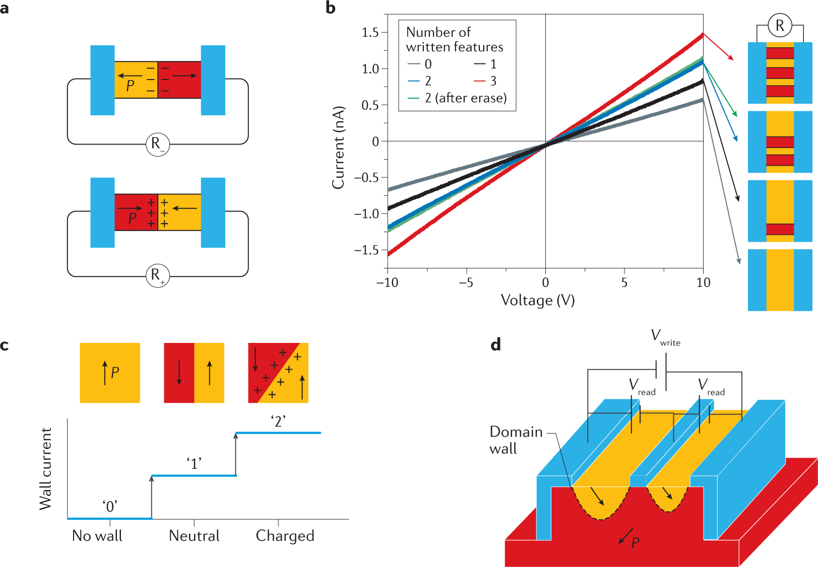 Ferroelectric Domain Walls For Nanotechnology Nature Reviews Materials
