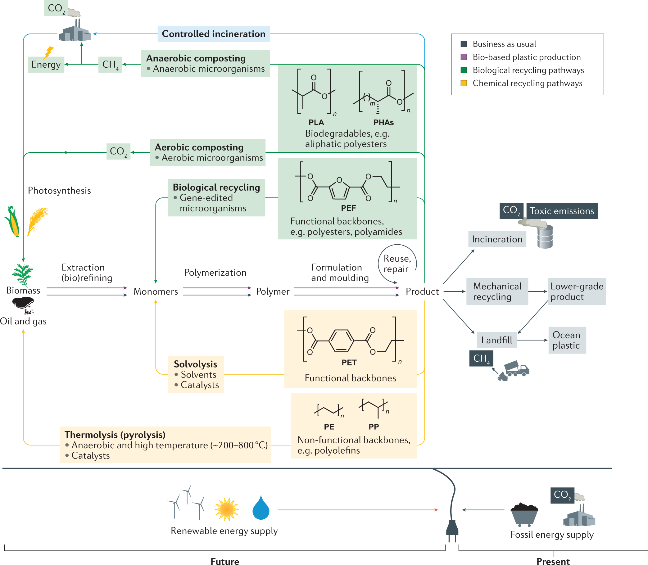 Bioplastics for a circular economy