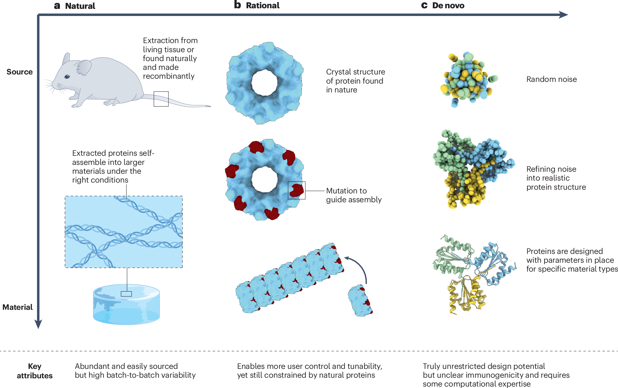 Engineering complexity into protein-based biomaterials for biomedical  applications | Nature Reviews Materials
