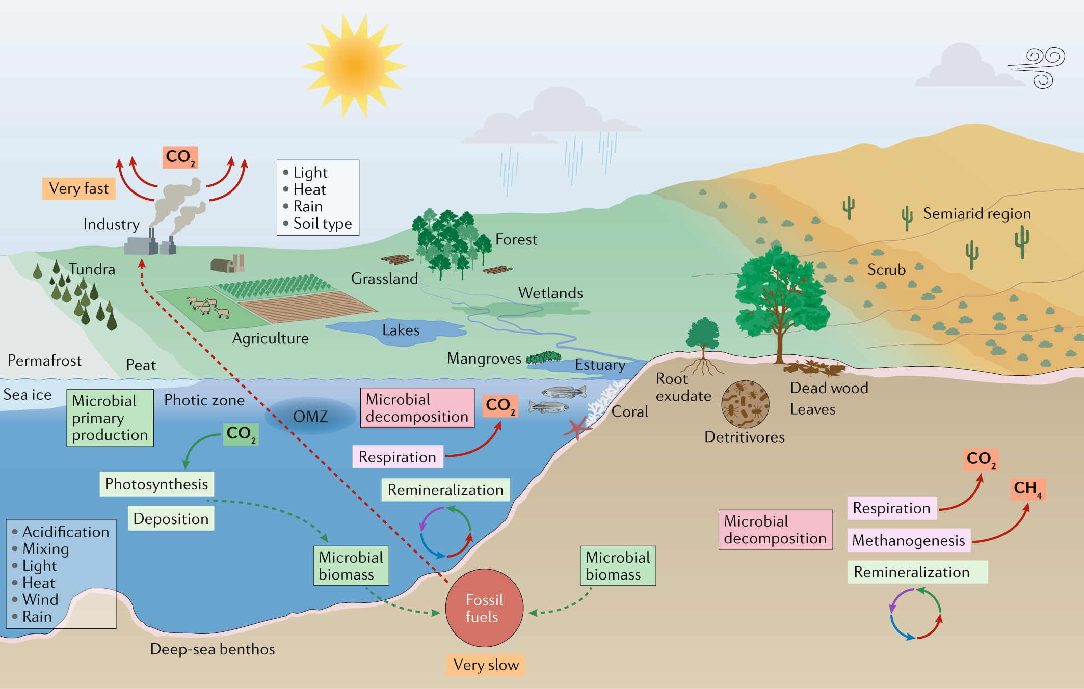 Scientists' warning to humanity: microorganisms and climate change | Nature  Reviews Microbiology