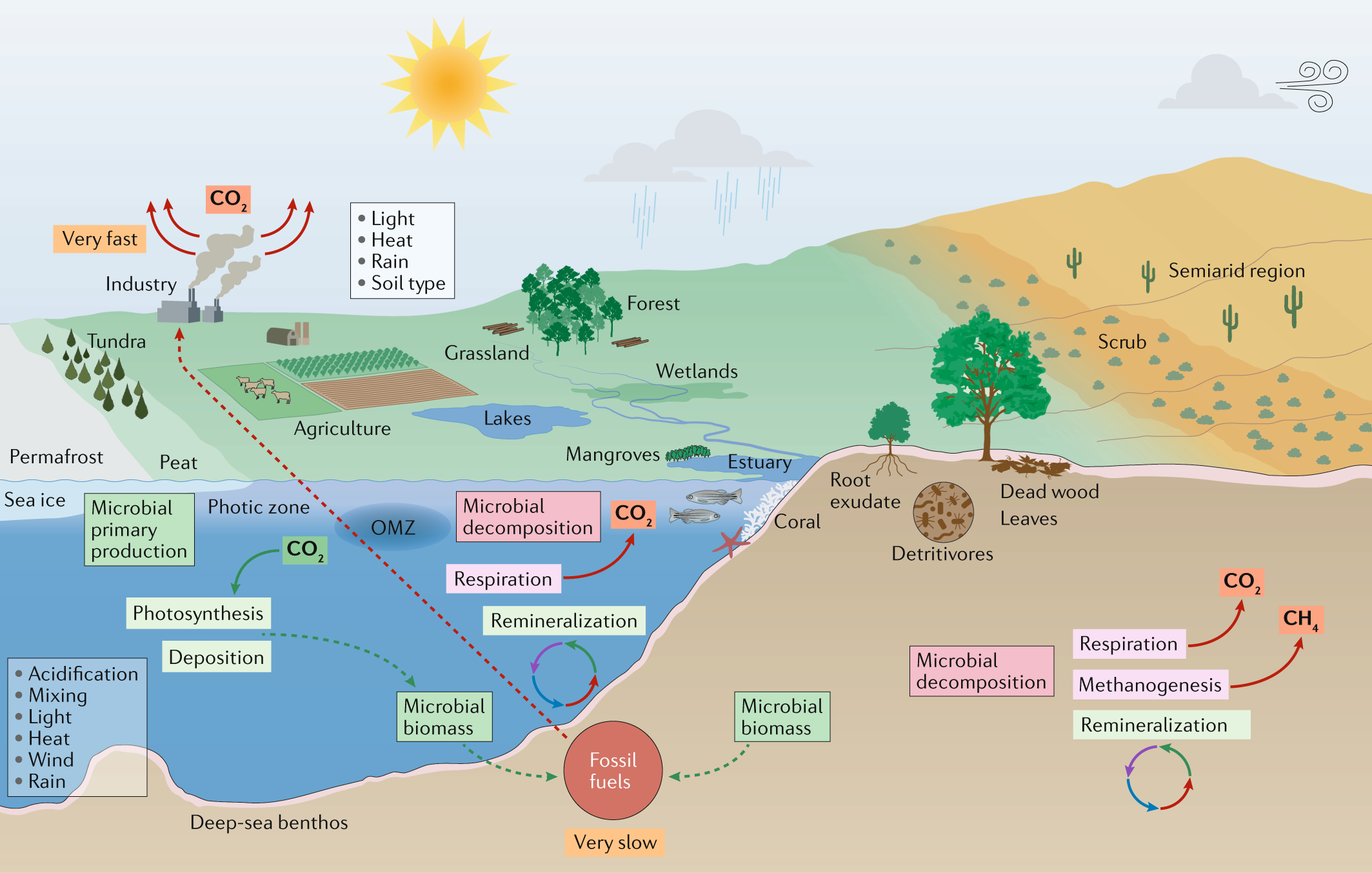 Scientists' warning to humanity: microorganisms and climate change