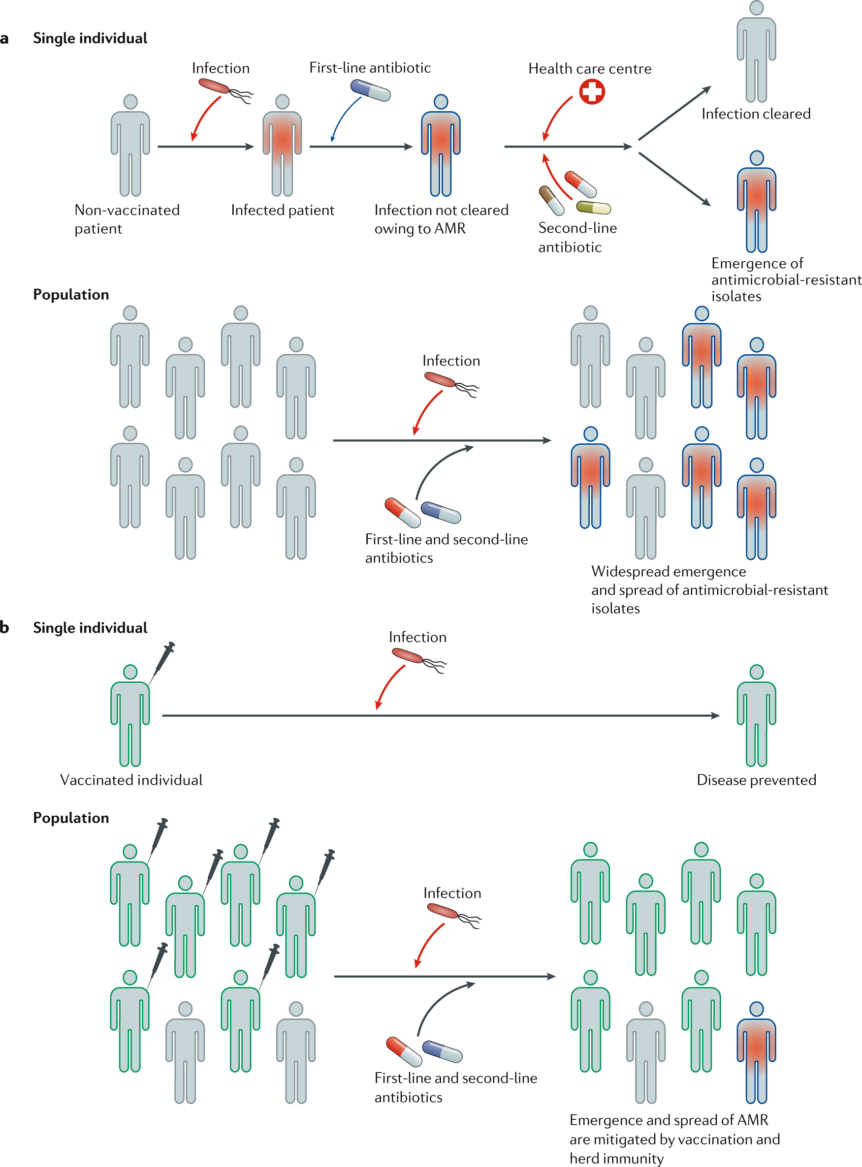 The meningococcal conjugate vaccine: Uses, Side Effects, Dosage & Reviews