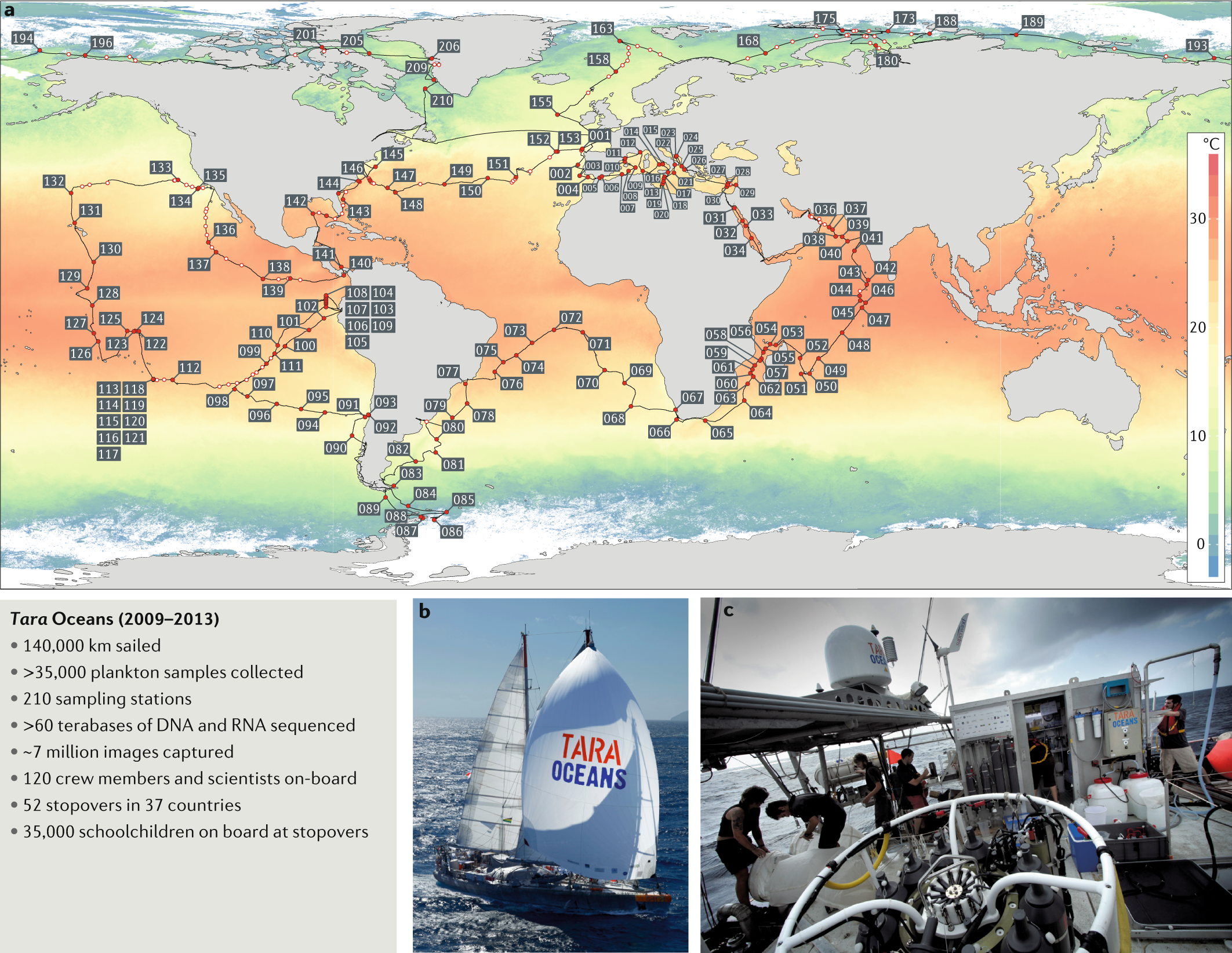 Tara Oceans Towards Global Ocean Ecosystems Biology Nature Reviews Microbiology