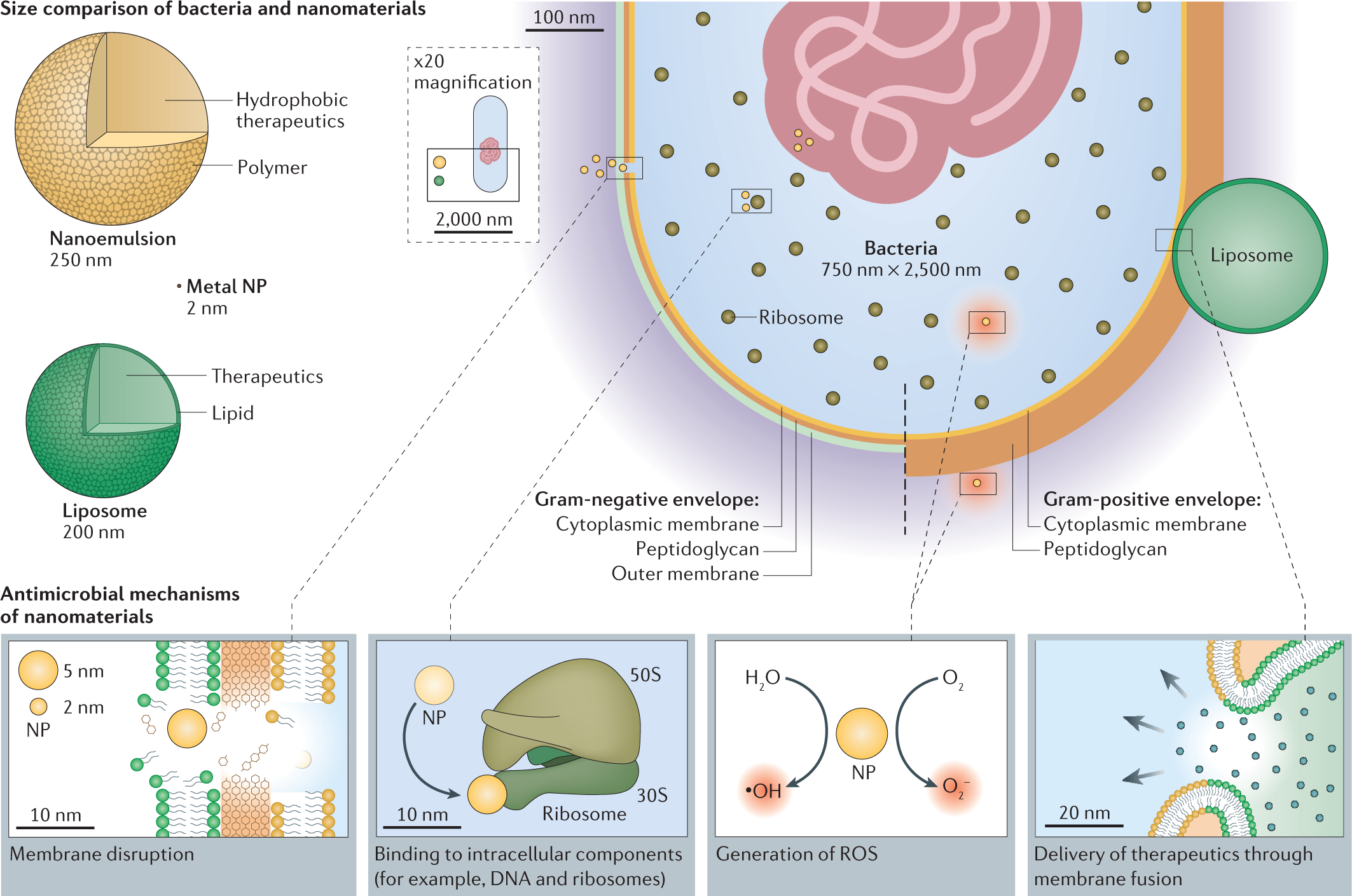 Nanomaterials, Free Full-Text