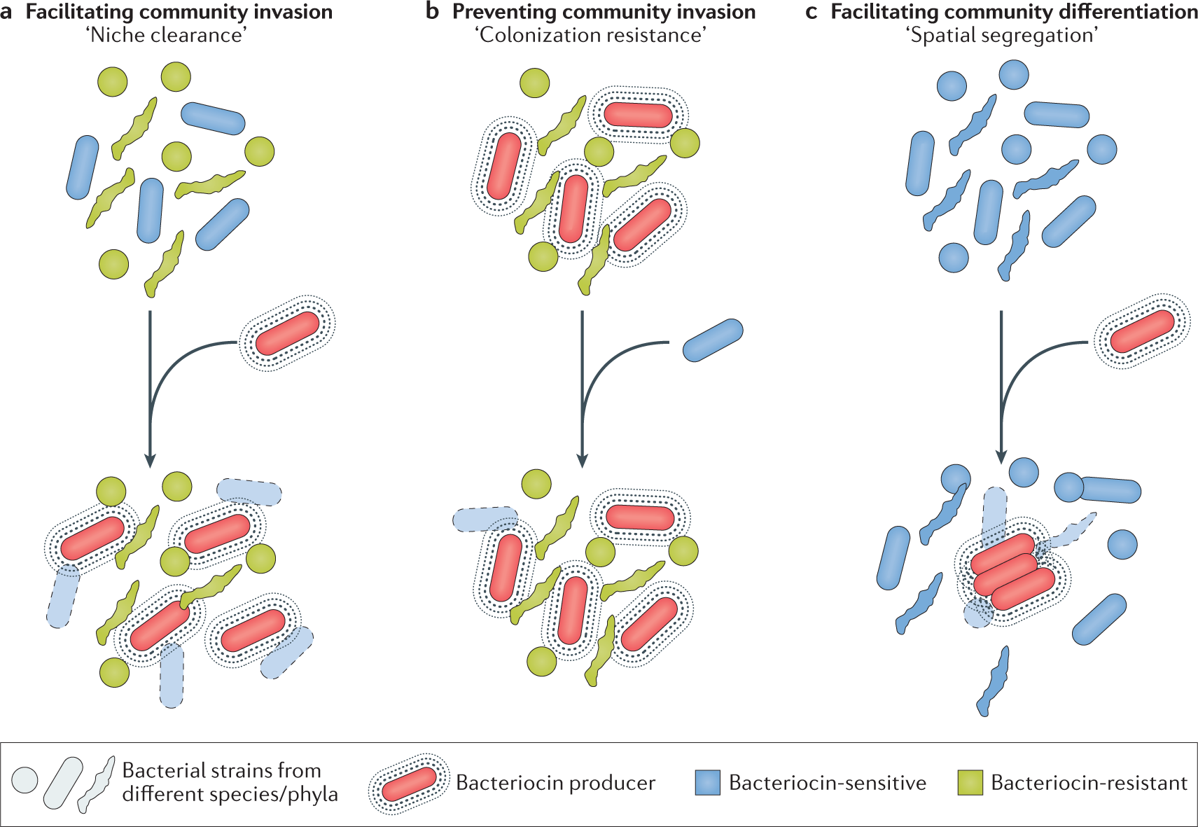 The microbiome-shaping roles of bacteriocins | Nature Reviews Microbiology