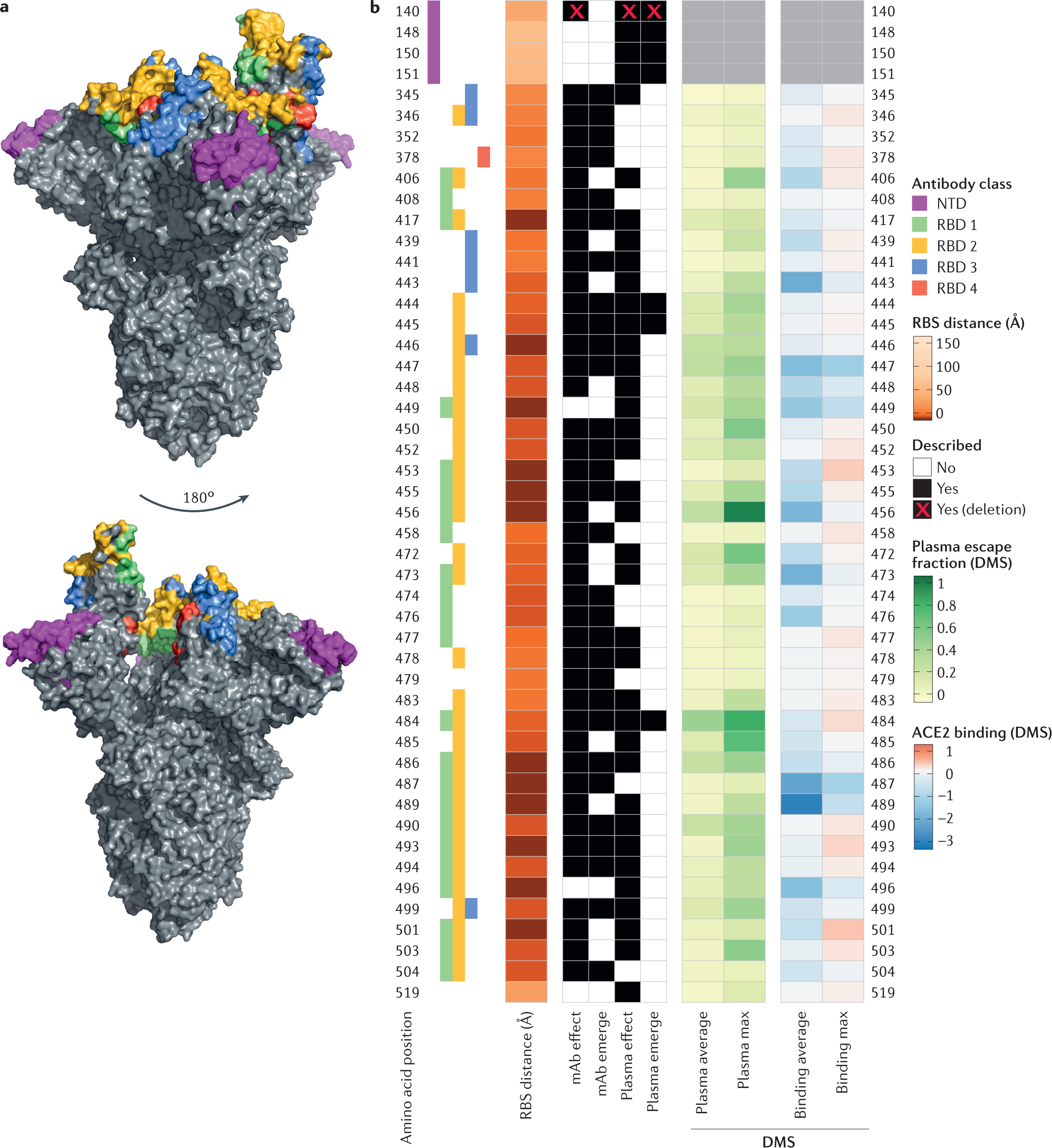 Bunke af Lavet af stereoanlæg SARS-CoV-2 variants, spike mutations and immune escape | Nature Reviews  Microbiology