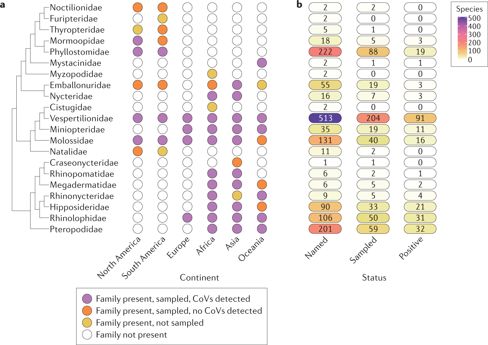 Kikker Nat Gestaag Ecology, evolution and spillover of coronaviruses from bats | Nature  Reviews Microbiology