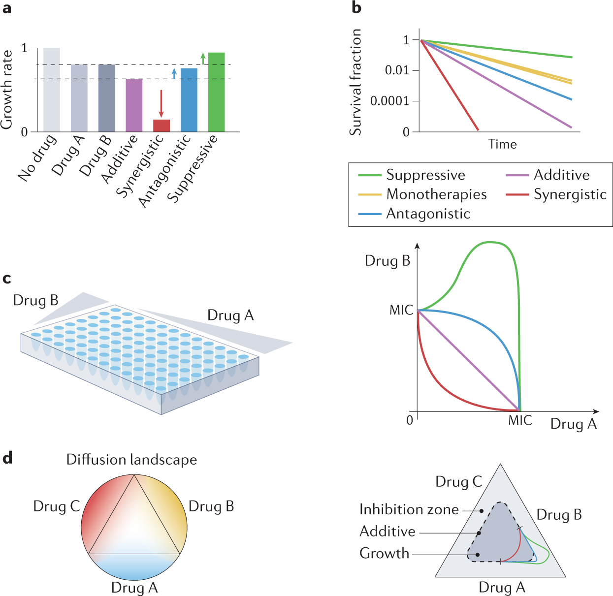 The physiology and genetics of bacterial responses to antibiotic  combinations | Nature Reviews Microbiology