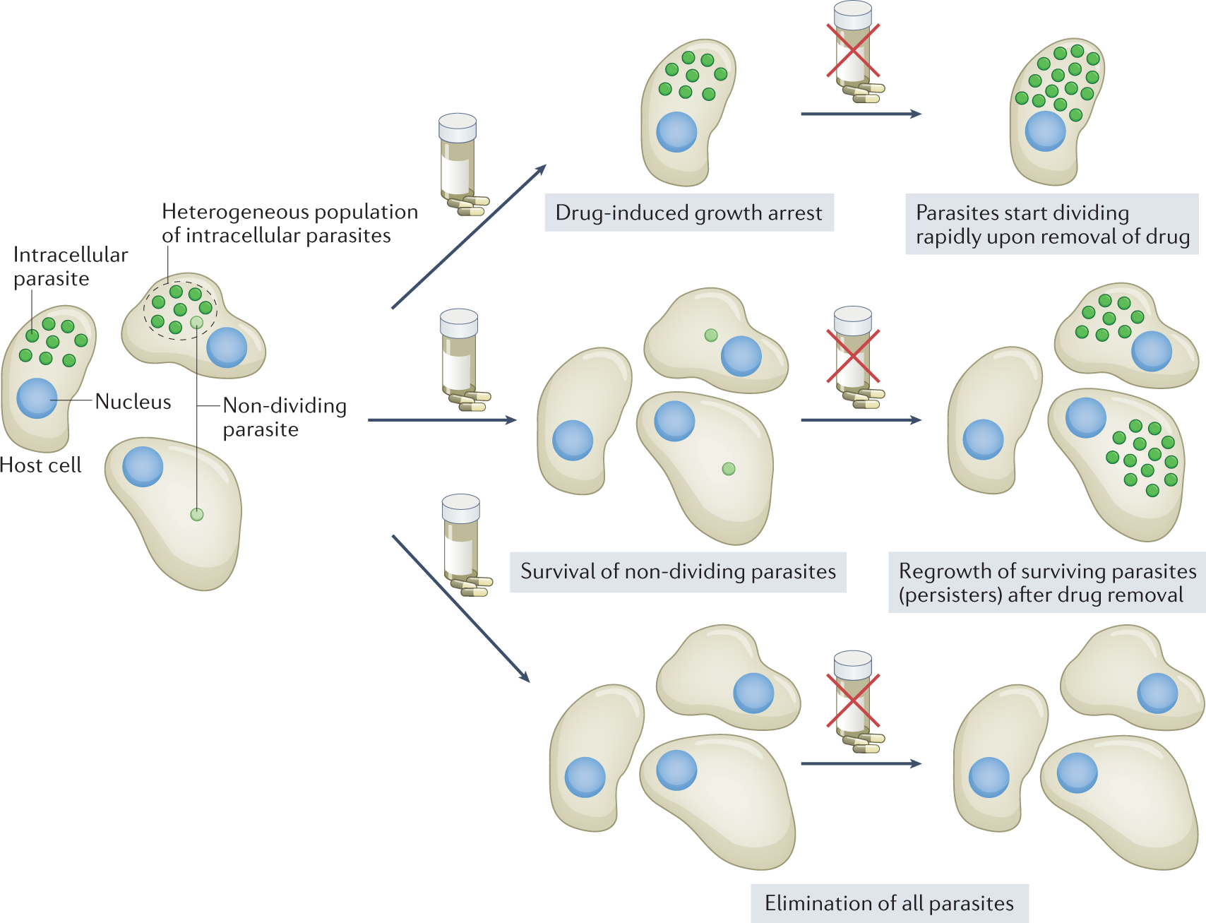 Portable chemical analysis for drug investigations promises more