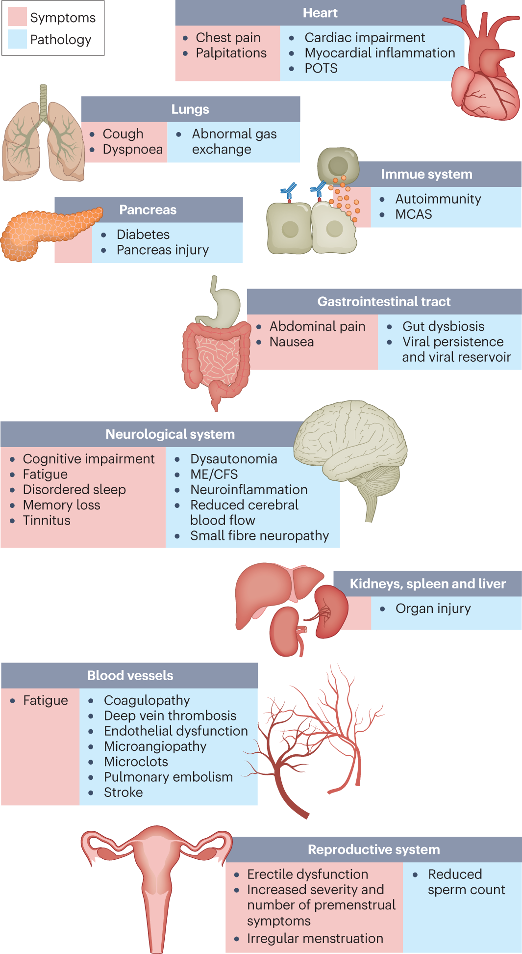 Trajectories of Neurologic Recovery 12 Months After Hospitalization for  COVID-19