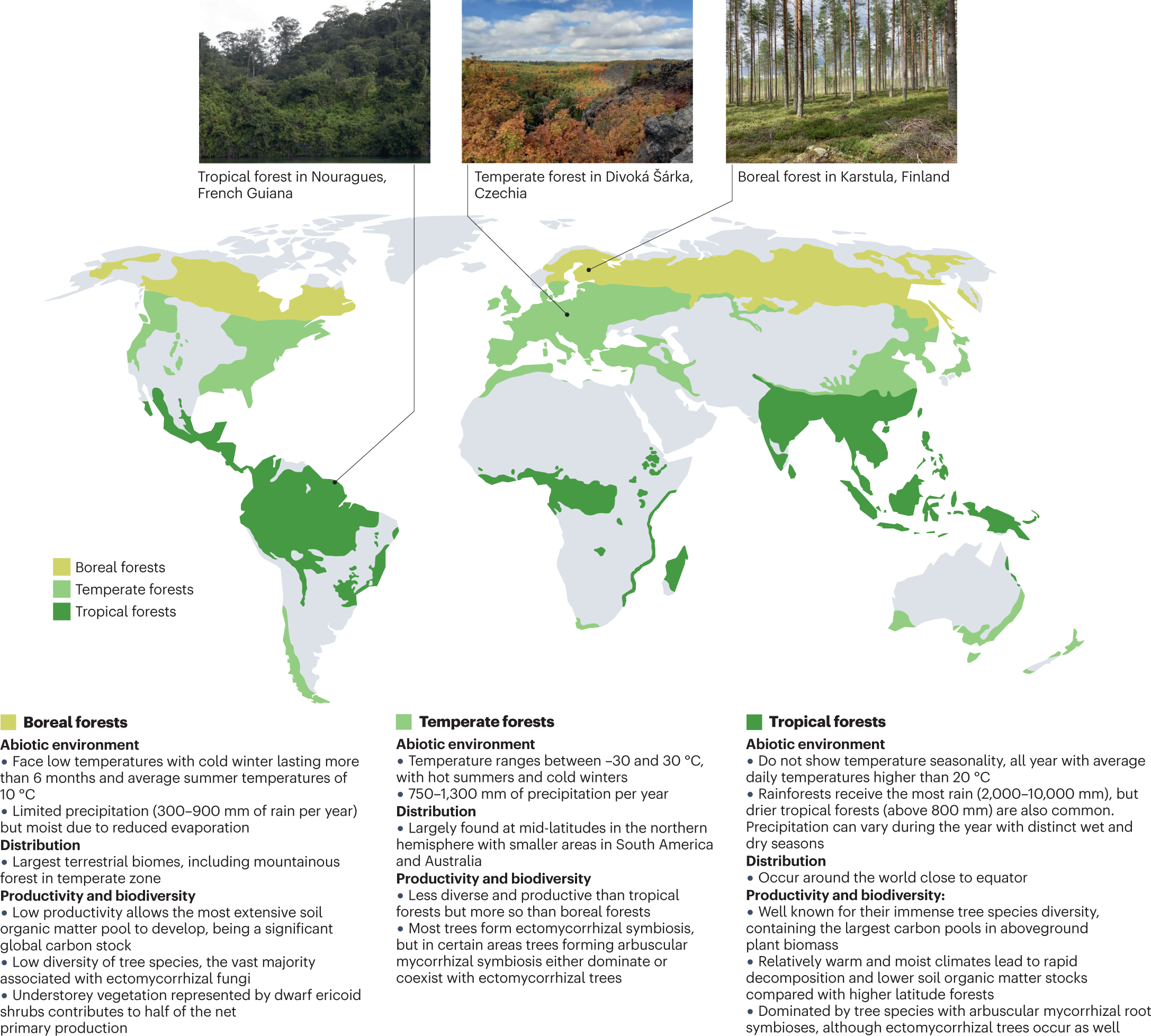 Forest microbiome and global change