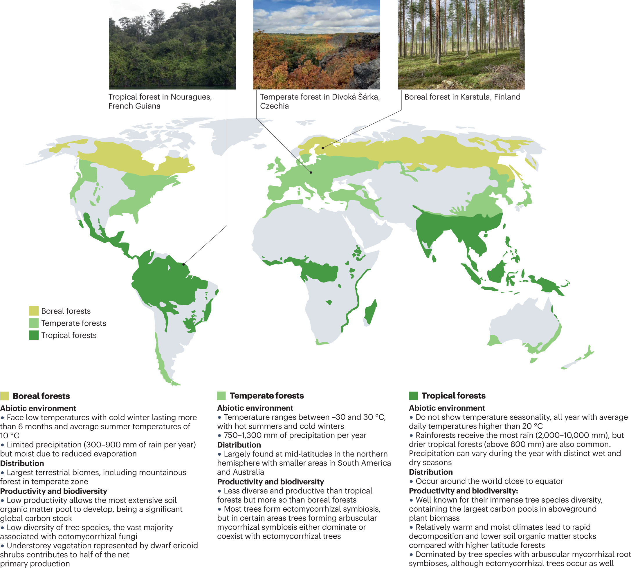 Pine Bark - Soil World