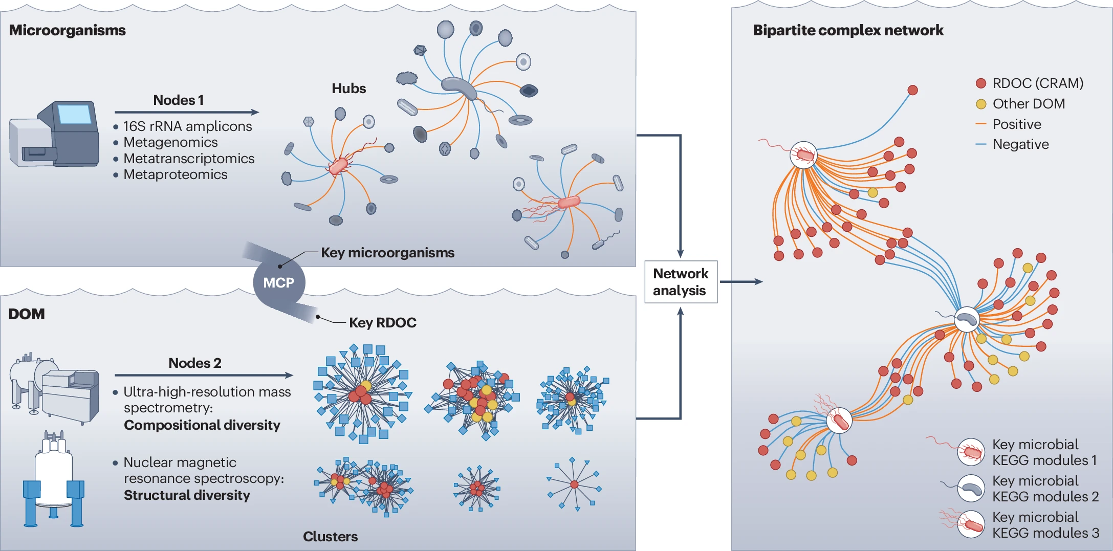 Microorganism–dissolved organic matter (DOM)