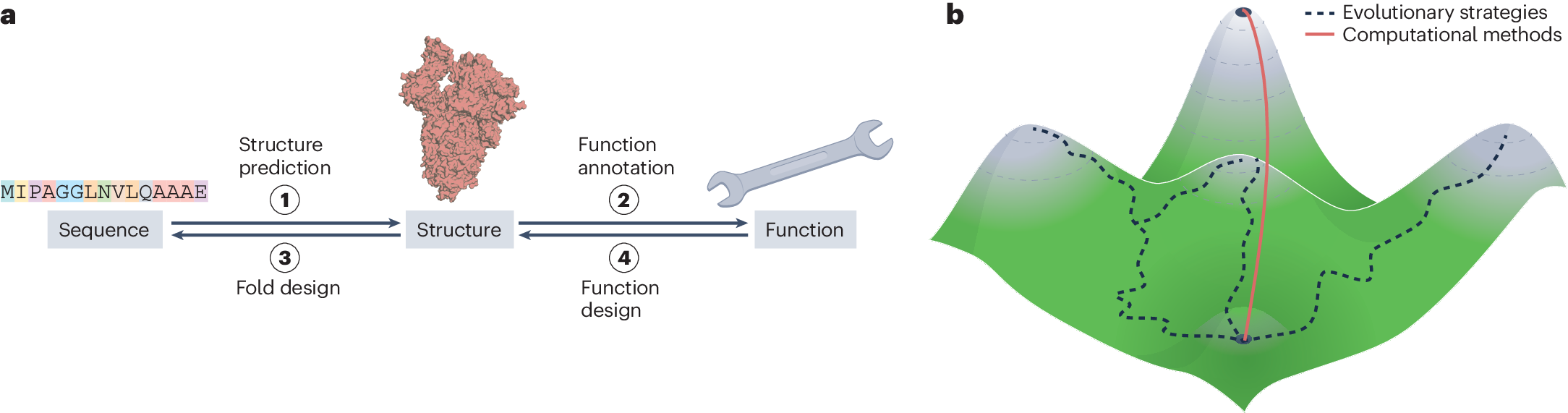 Opportunities and challenges in design and optimization of protein
