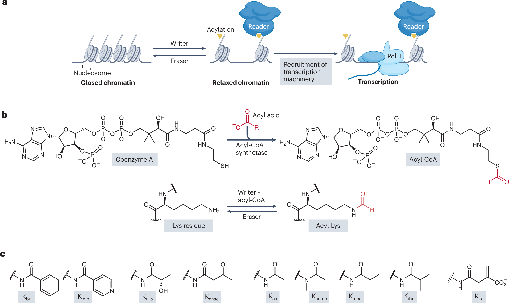 Conjugation in chemistry and its effects, image size:2160x1286