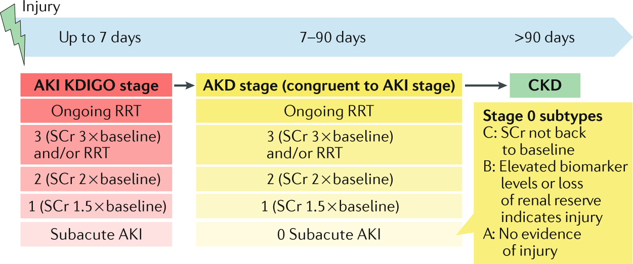 Kidney failure of acute signs What are