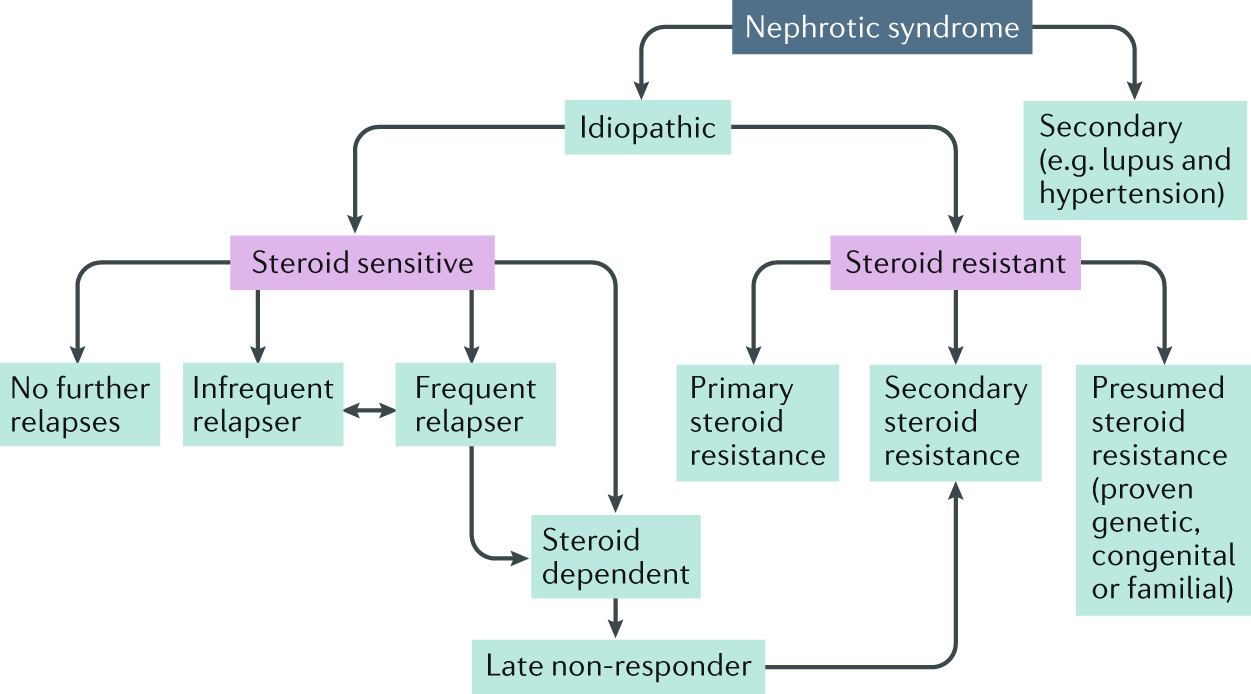 Nephrotic Vs Nephritic Chart