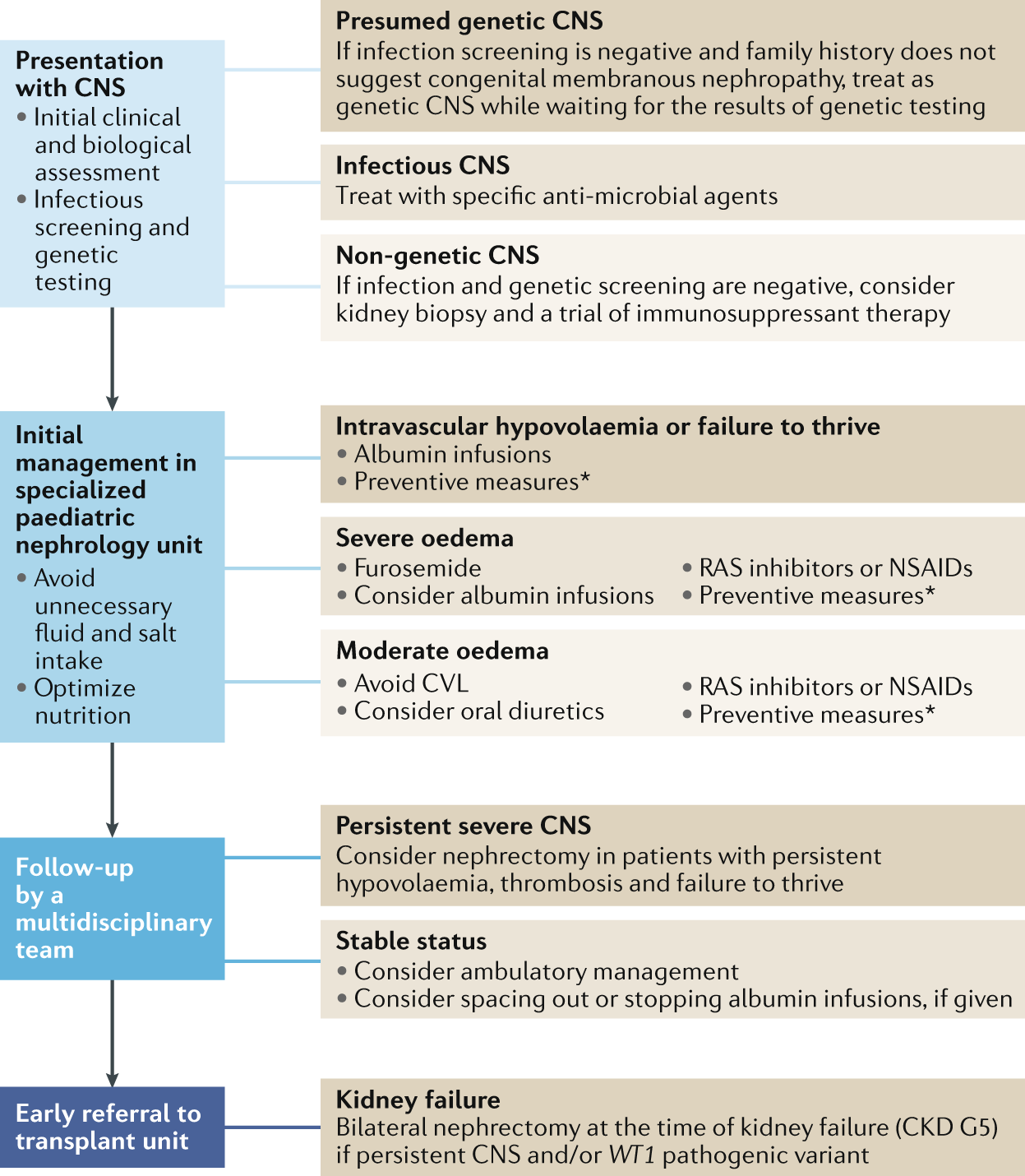 Management of congenital nephrotic syndrome: consensus recommendations of  the ERKNet-ESPN Working Group | Nature Reviews Nephrology