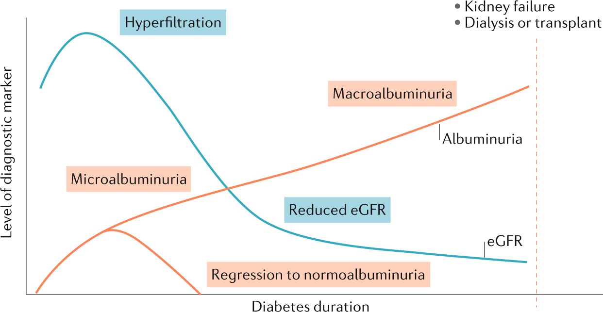 literature review on complications of diabetes mellitus cukorbetegség kezelésére áfonya