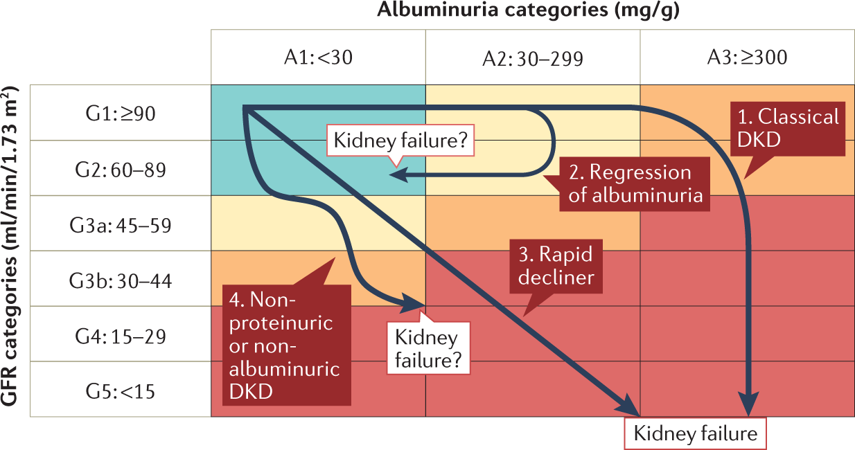 Trajectories of kidney function in diabetes: a clinicopathological update |  Nature Reviews Nephrology
