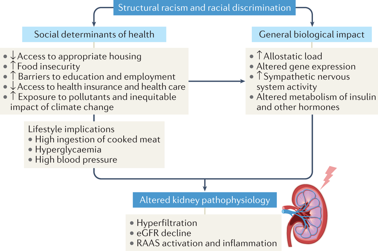 Health Inequities And The Inappropriate Use Of Race In Nephrology Nature Reviews Nephrology