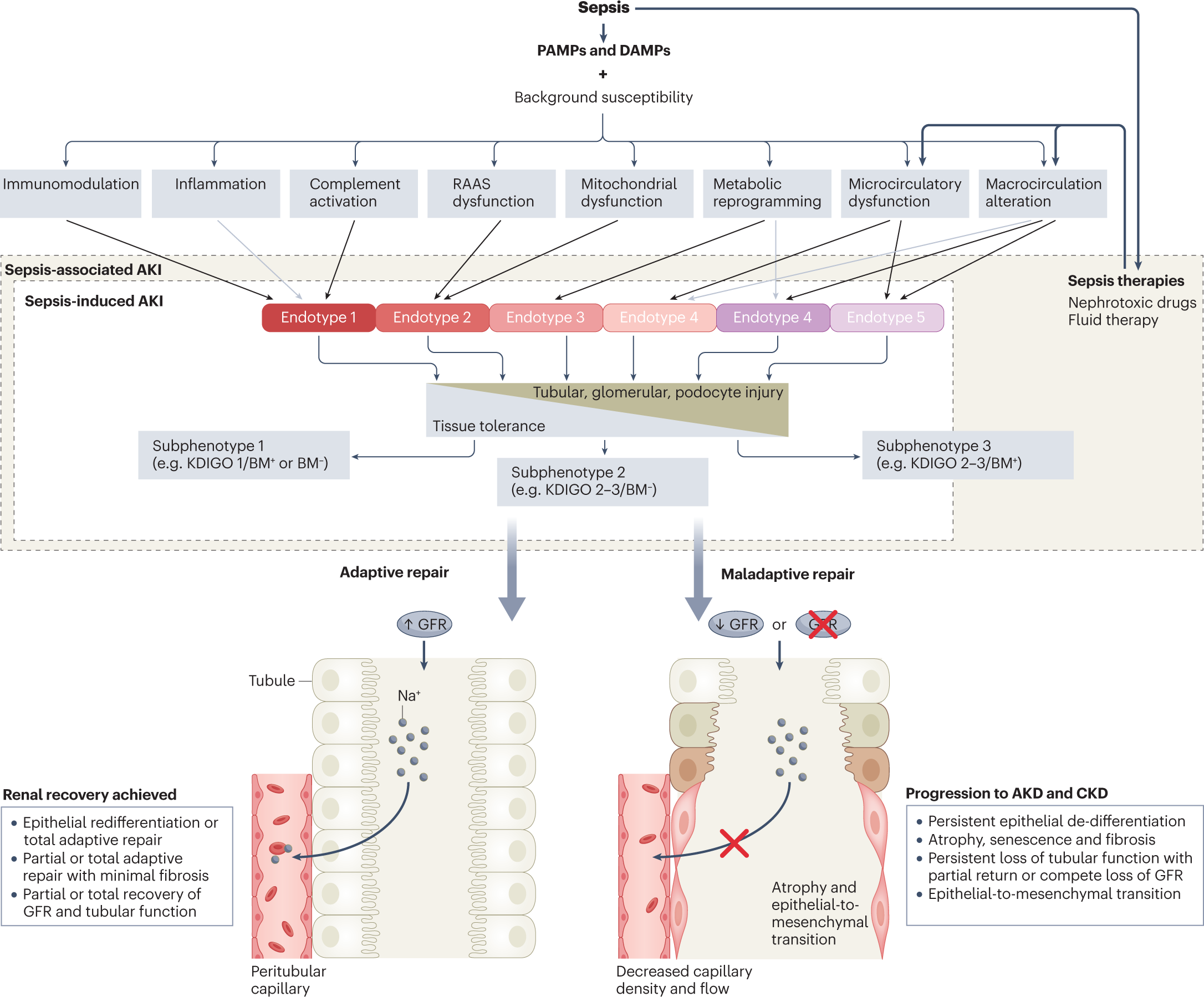 The epidemiology of sepsis in paediatric intensive care units in