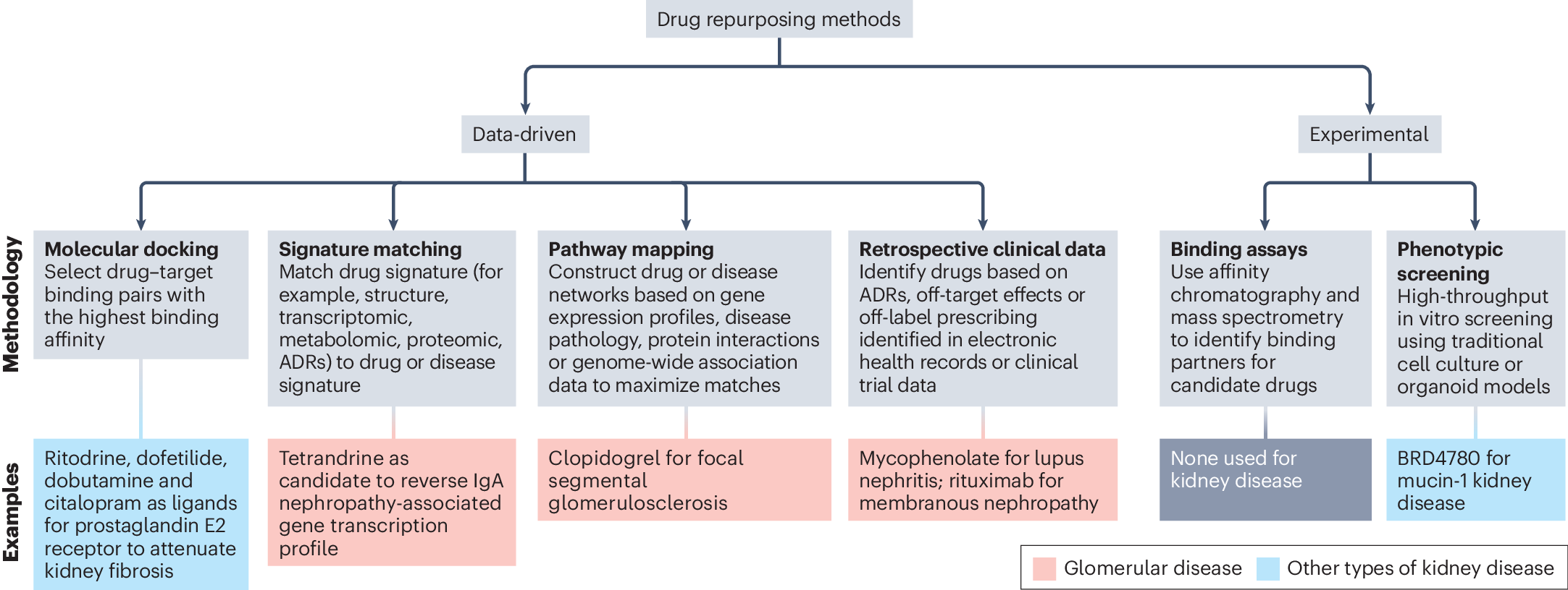 Drug repurposing for glomerular diseases: an underutilized 