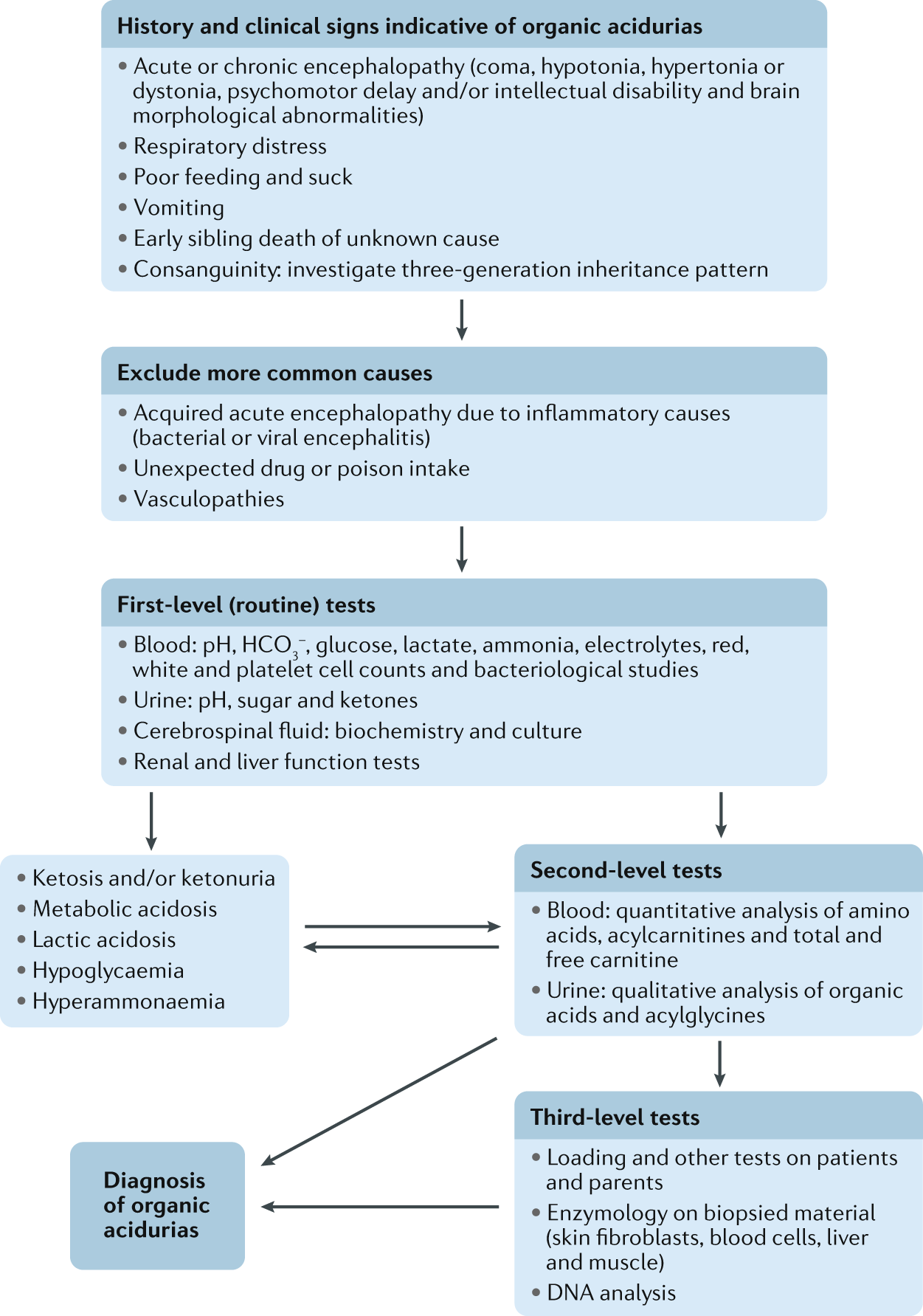 Neurological manifestations of organic acidurias | Nature Reviews Neurology